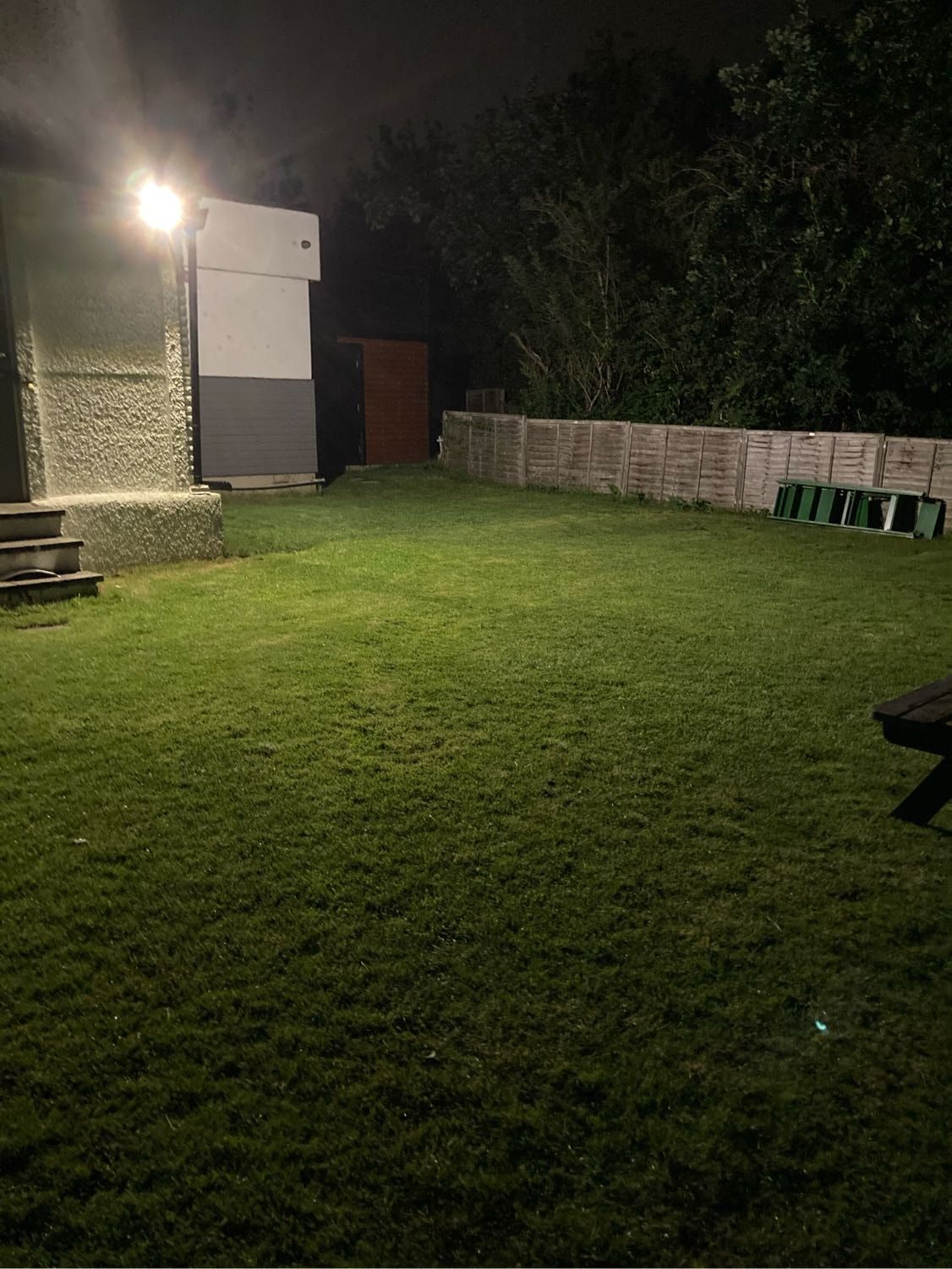 image-7