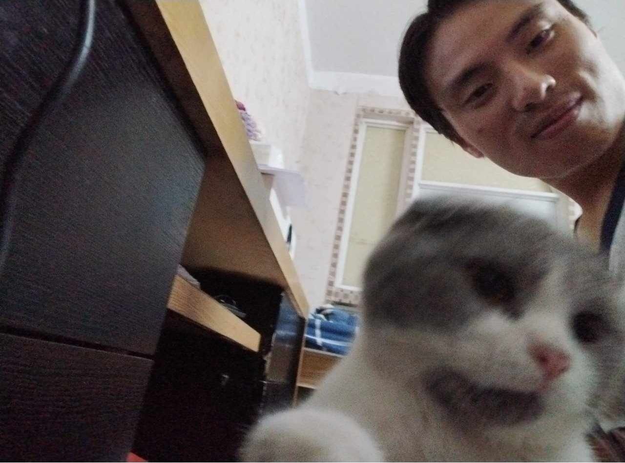 image-2