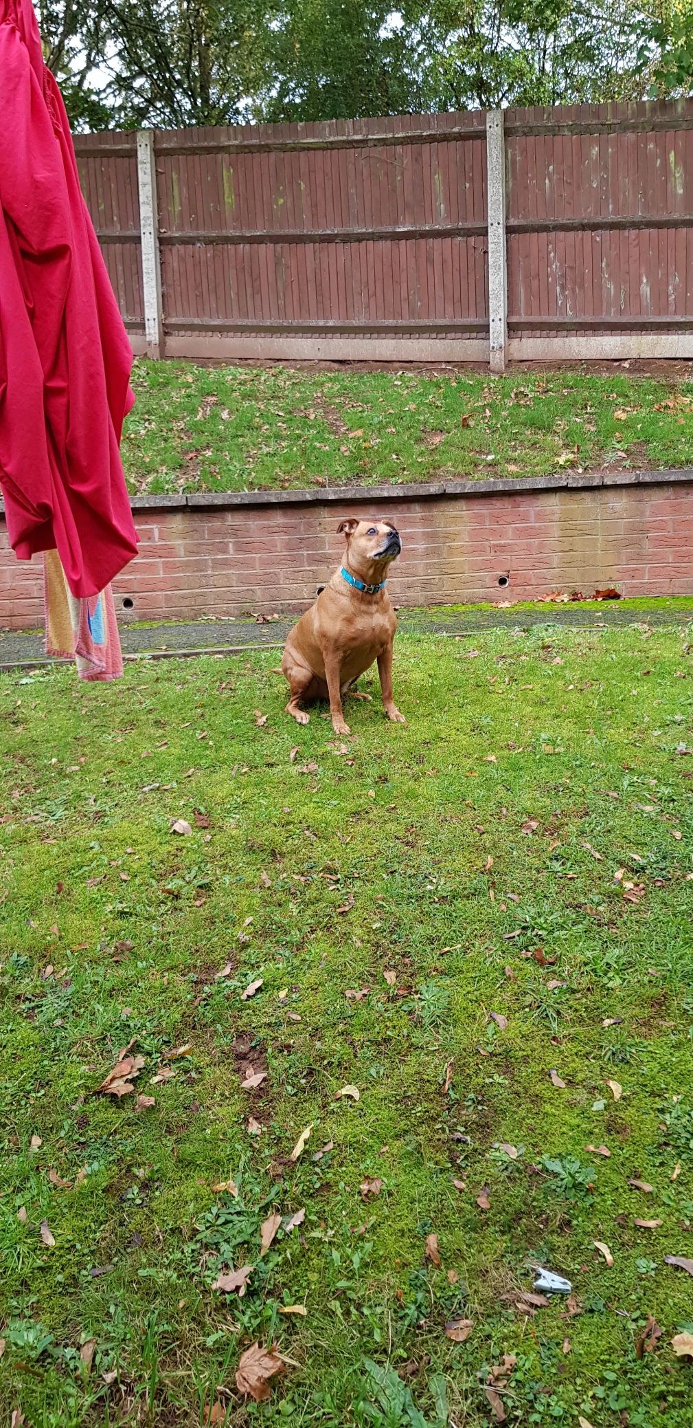 image-16