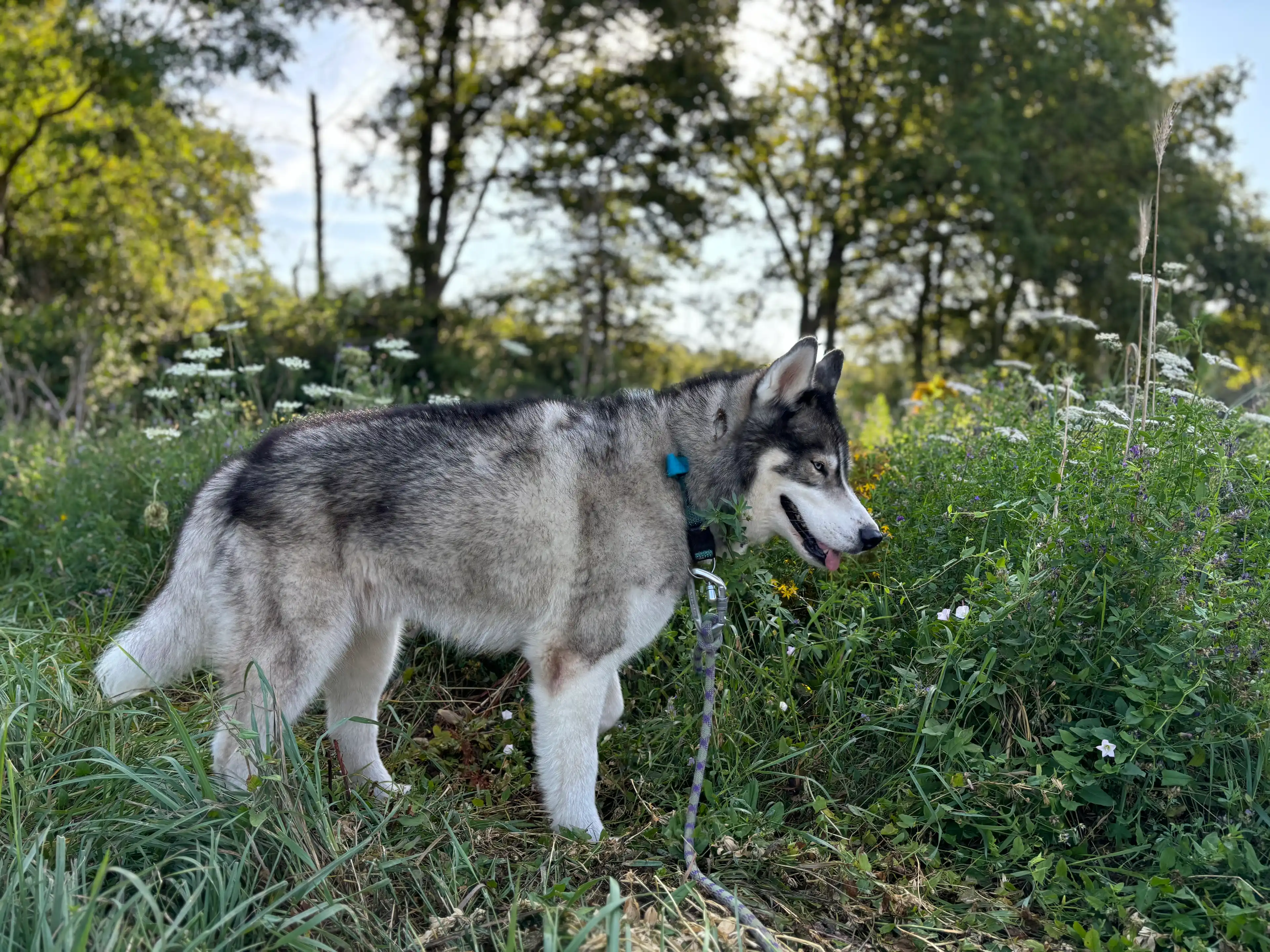 image-6