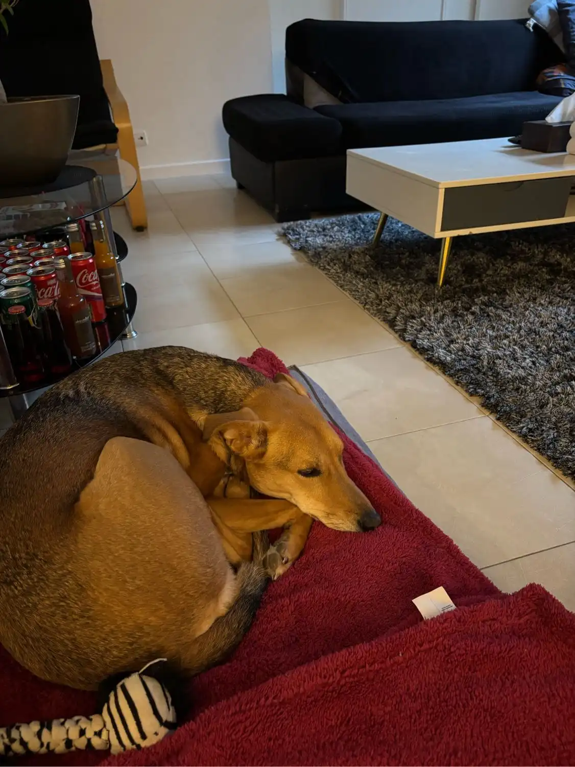 image-12
