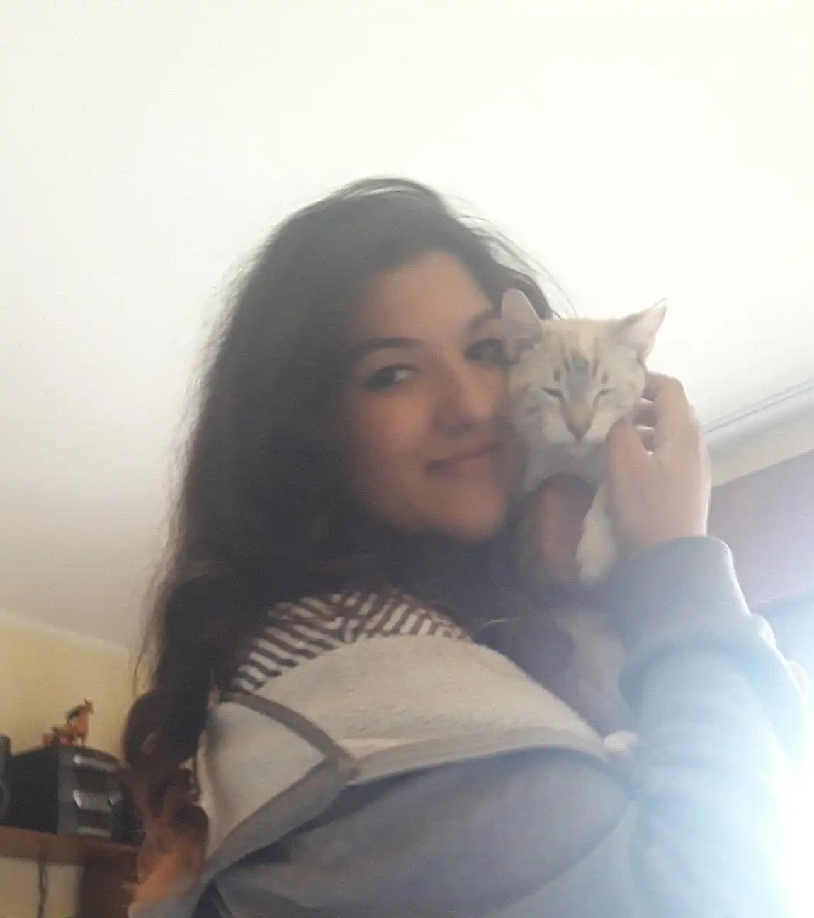 image-6
