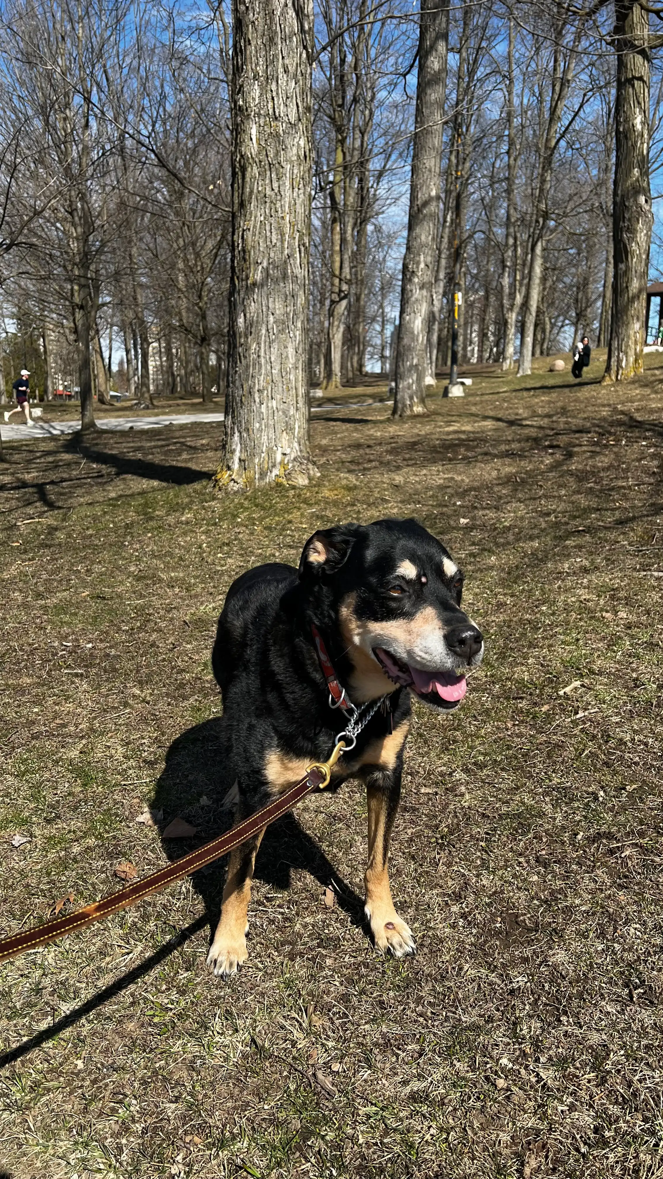 image-9