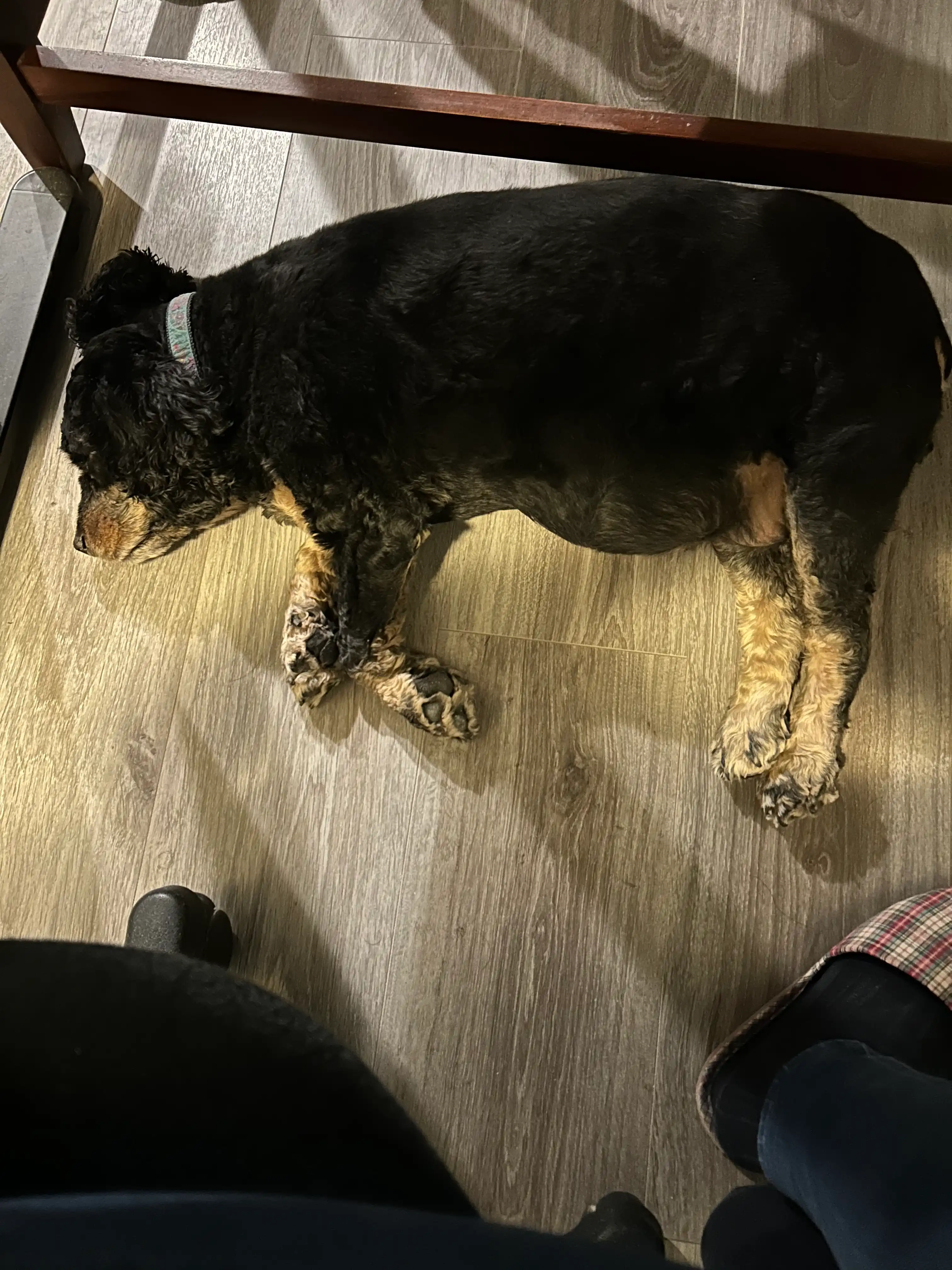 image-12