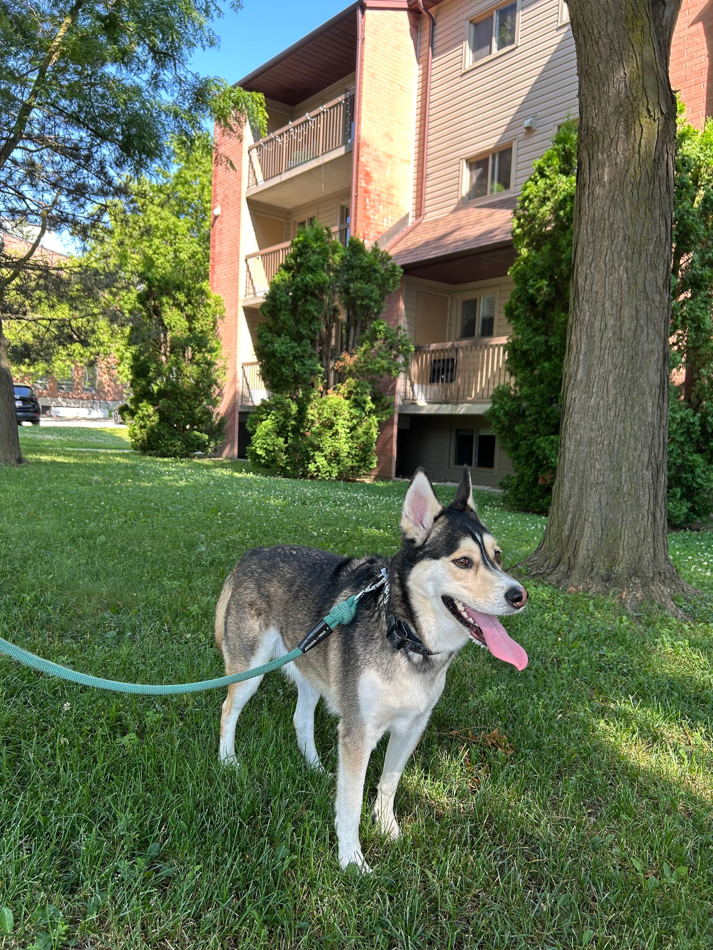 image-13