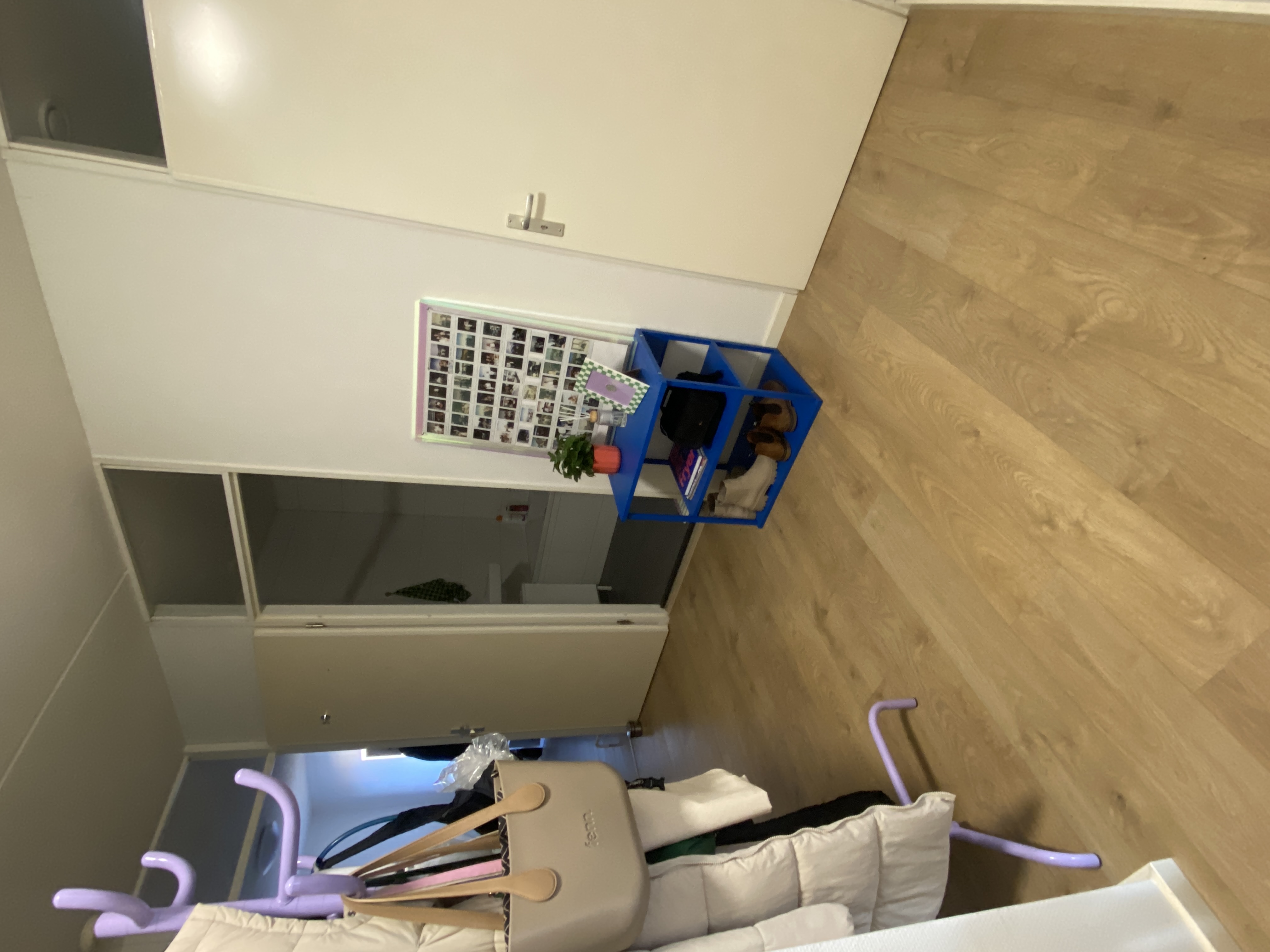 image-20