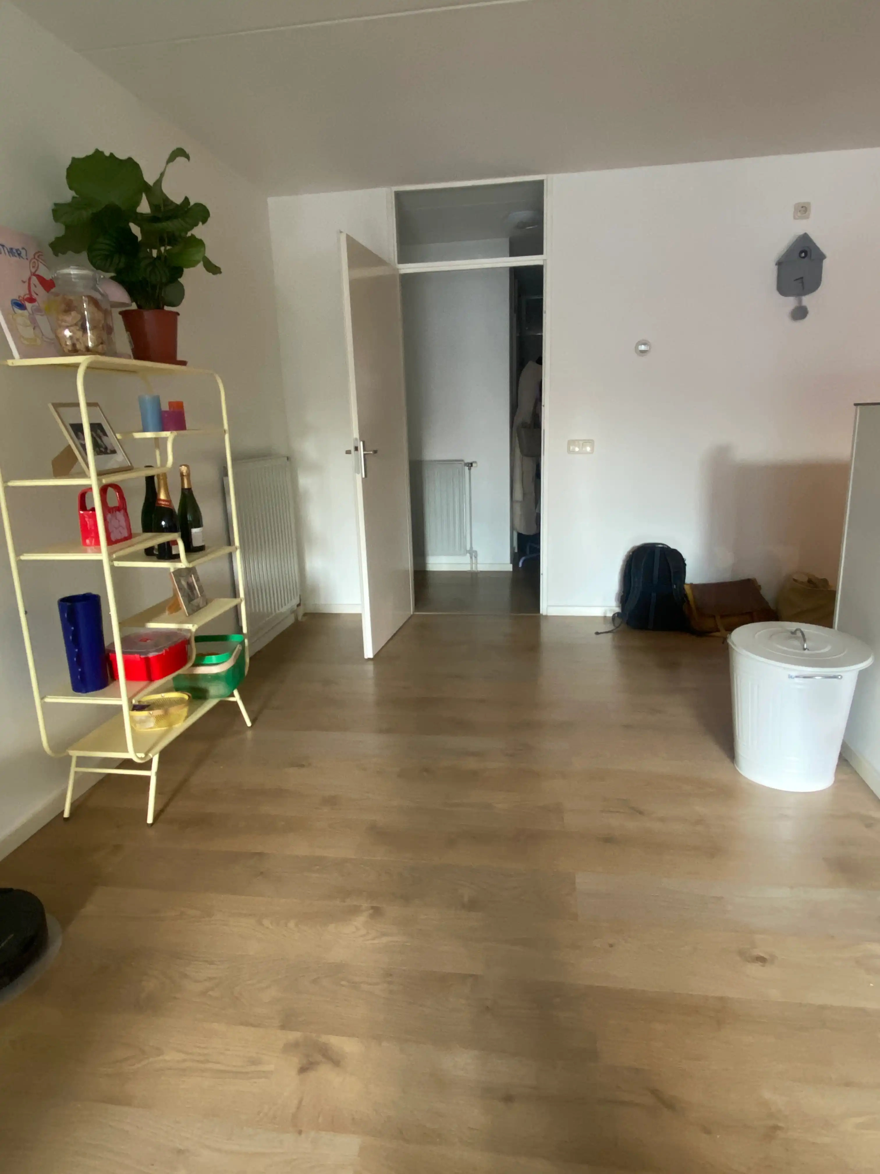 image-17