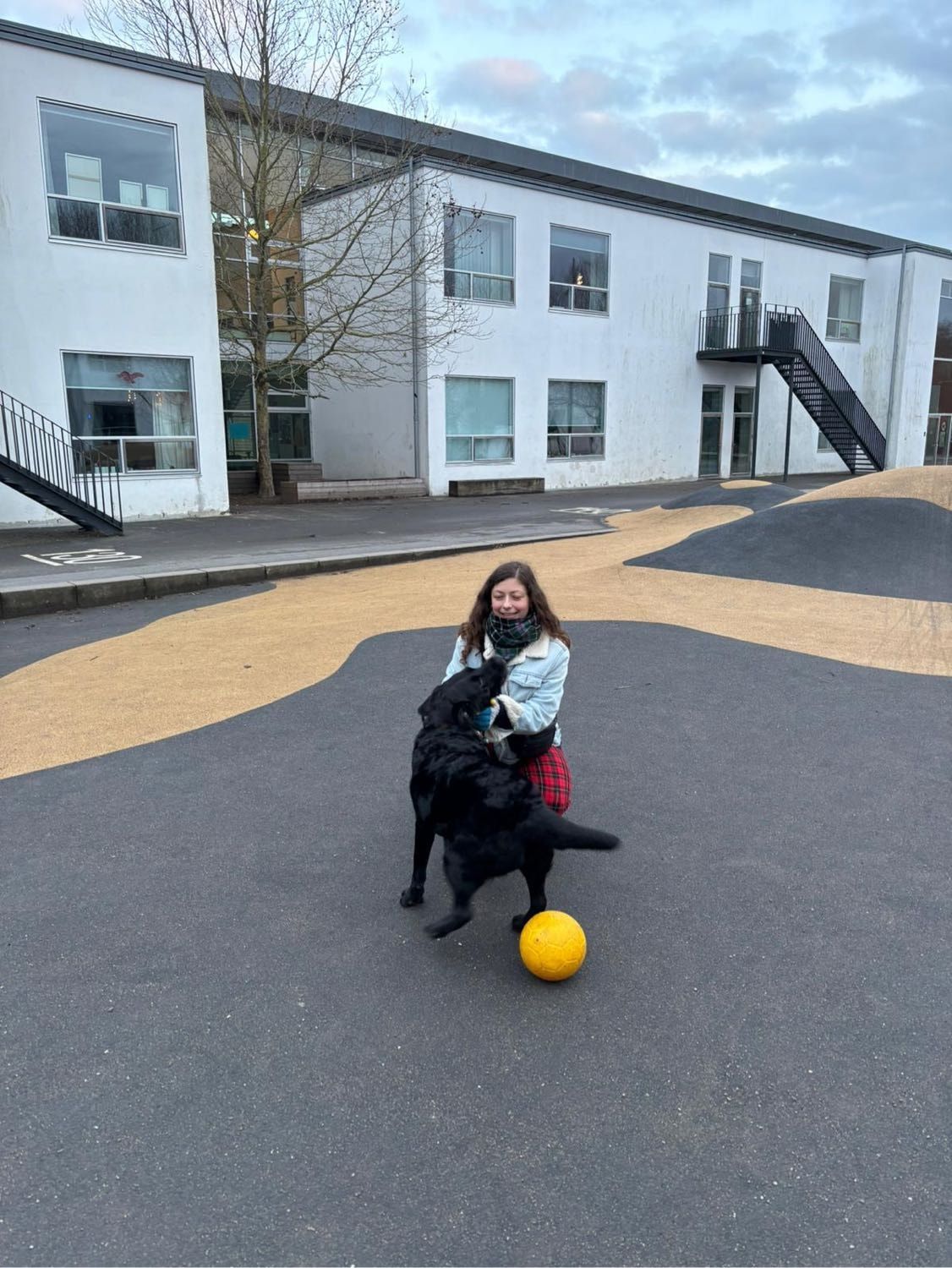 image-11