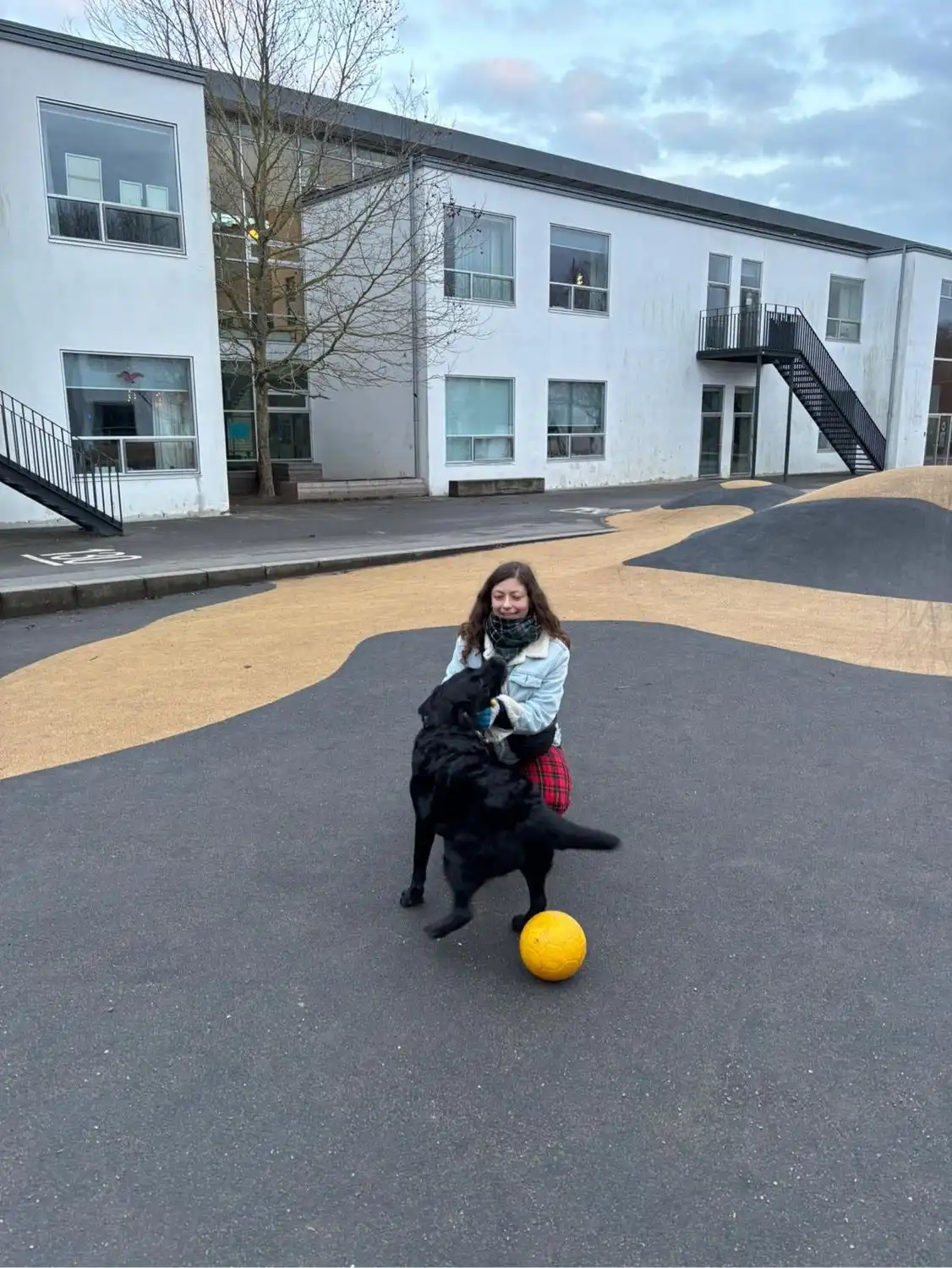 image-11