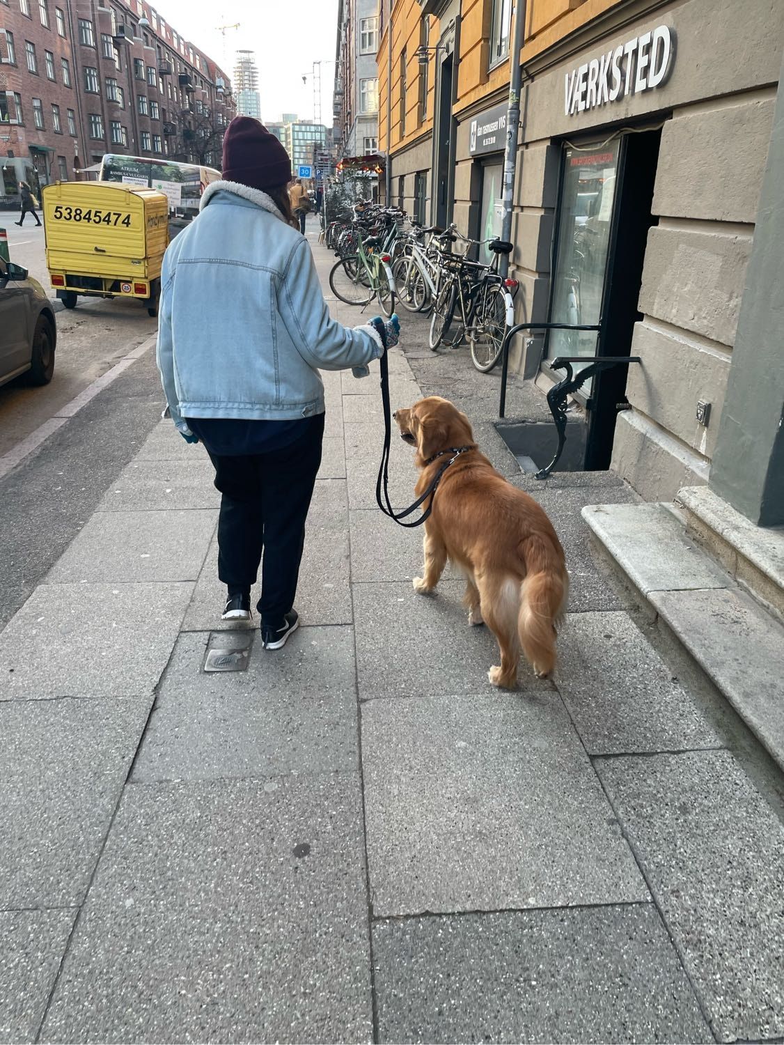 image-12