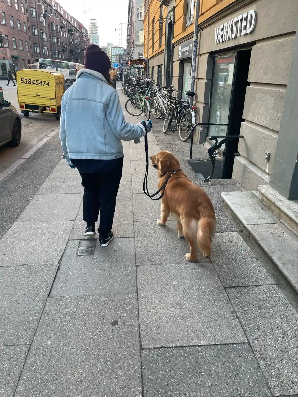 image-12