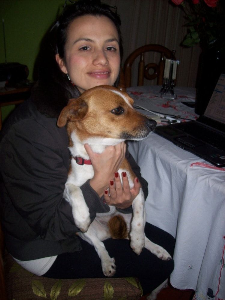 image-1