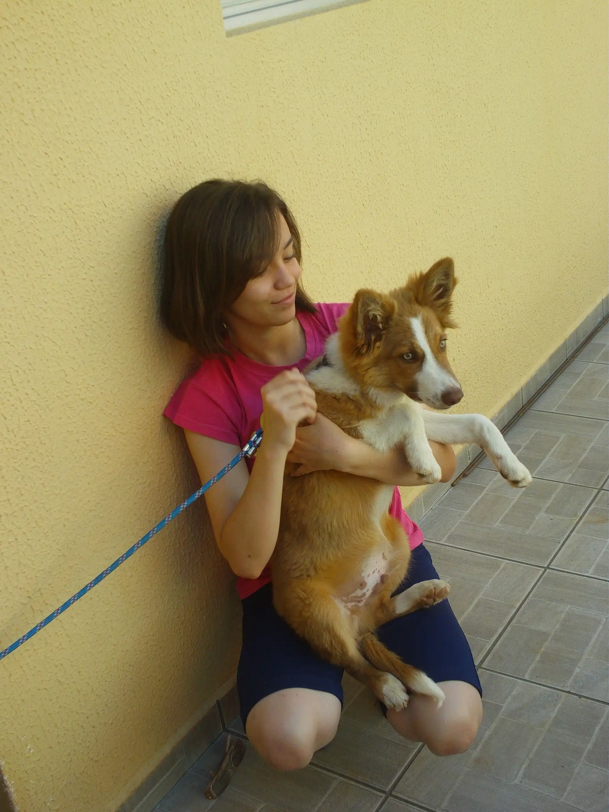 image-5