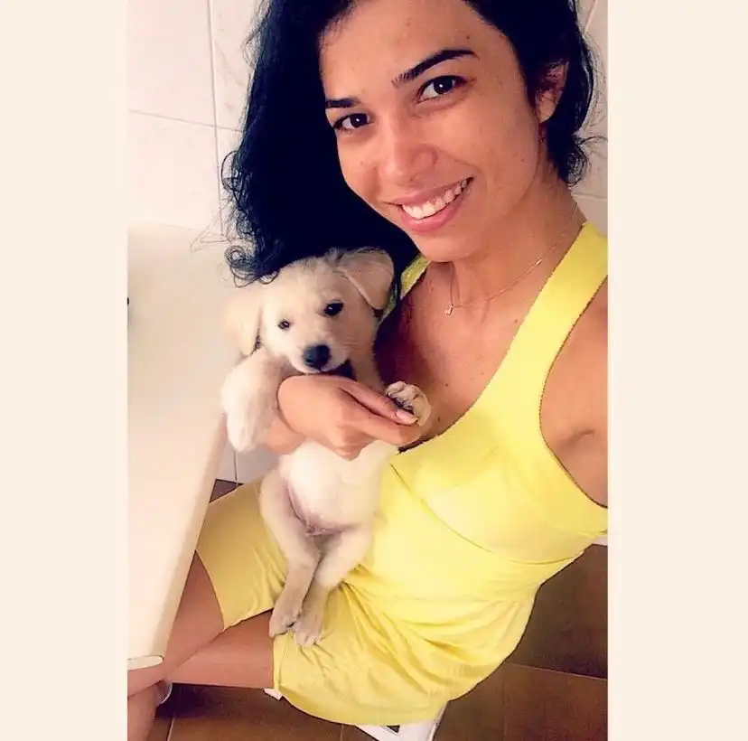 image-6