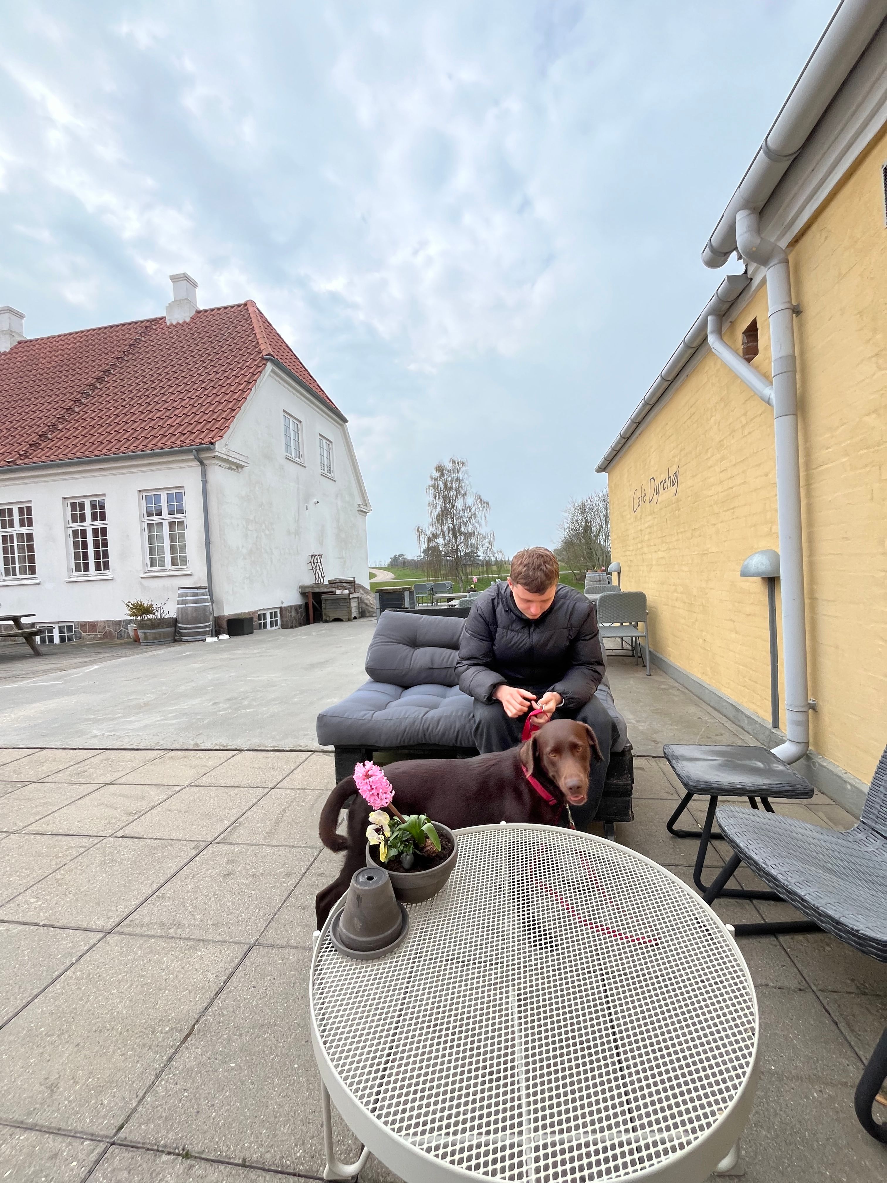 image-15