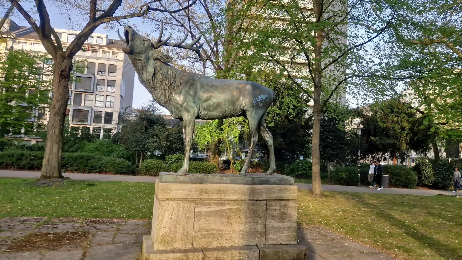 image-19