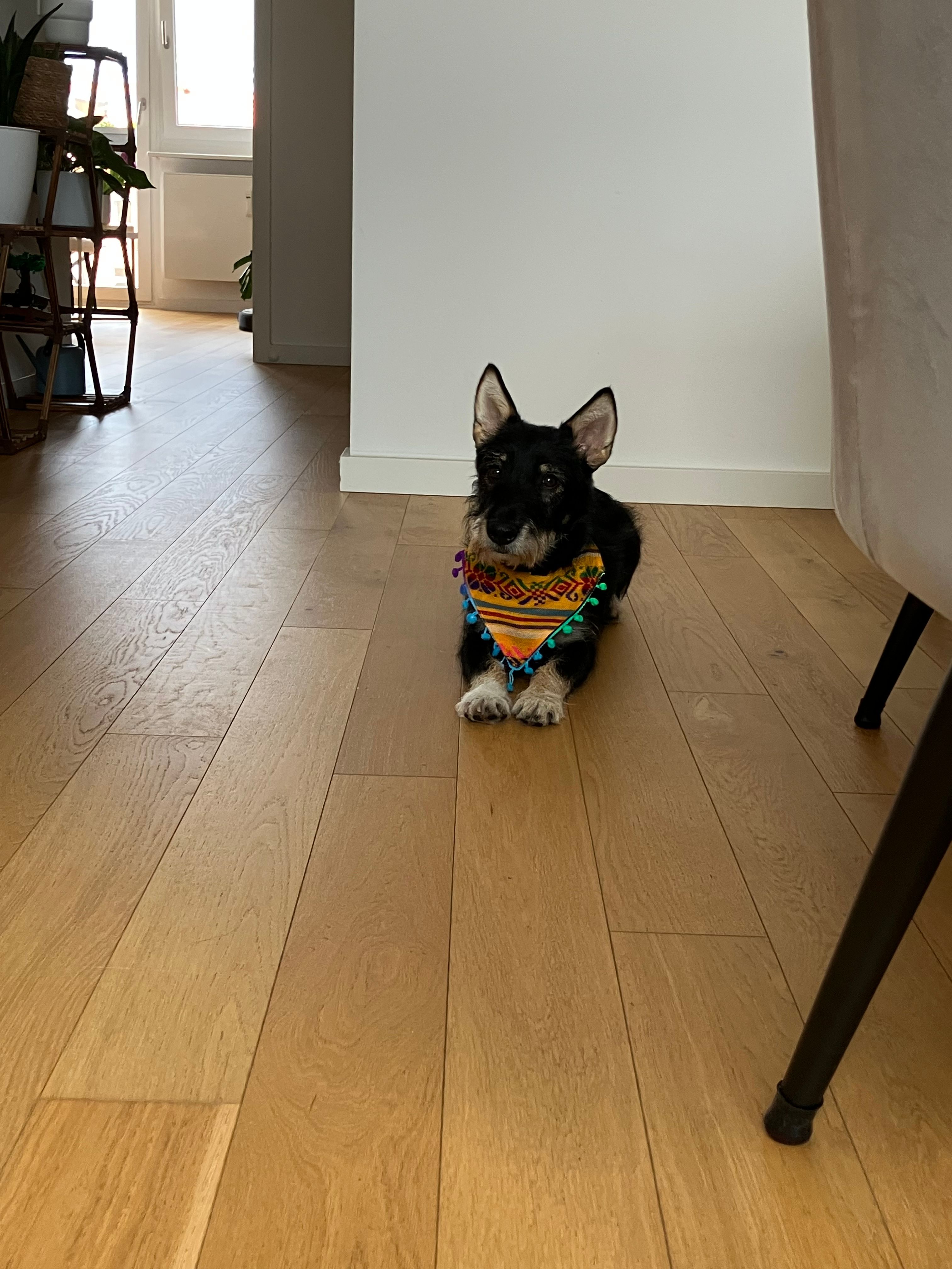 image-9