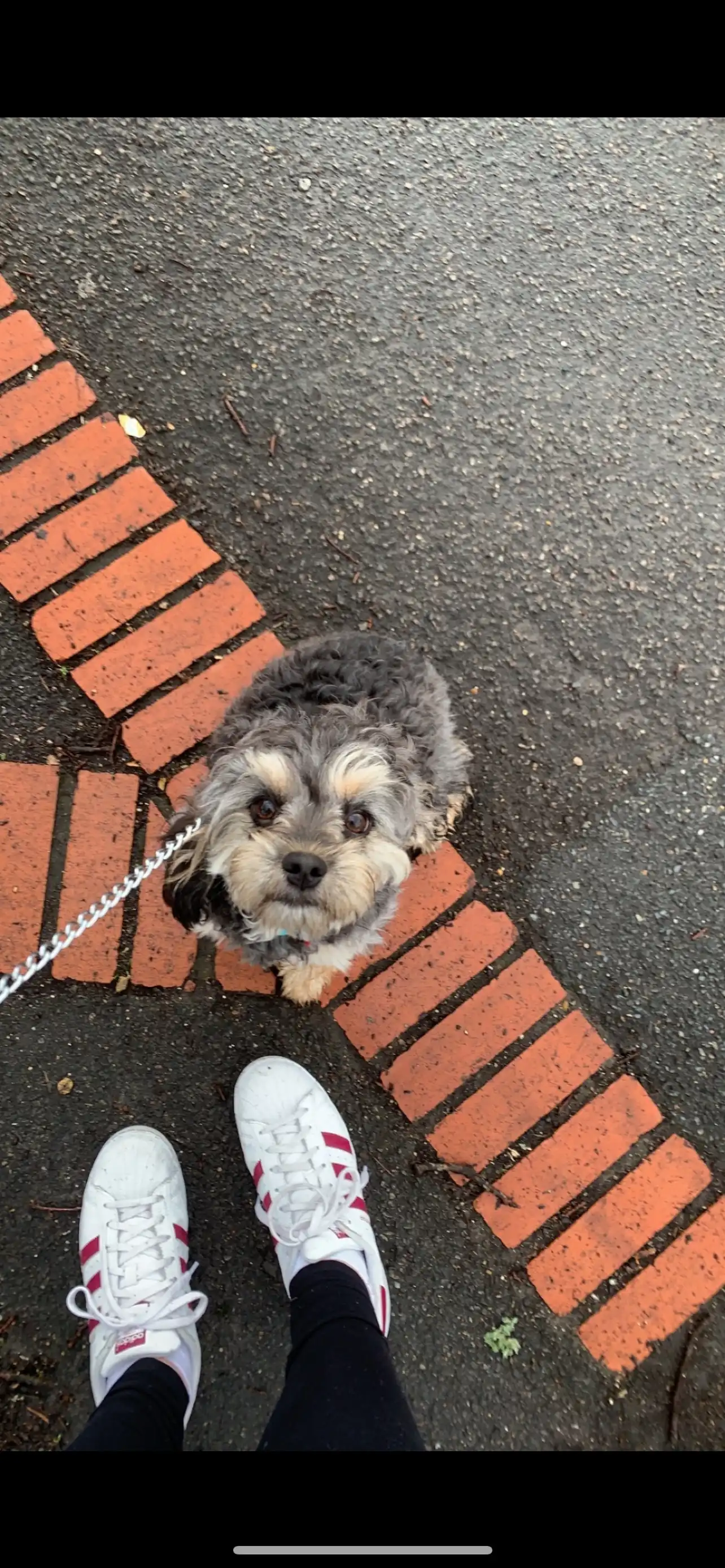 image-8