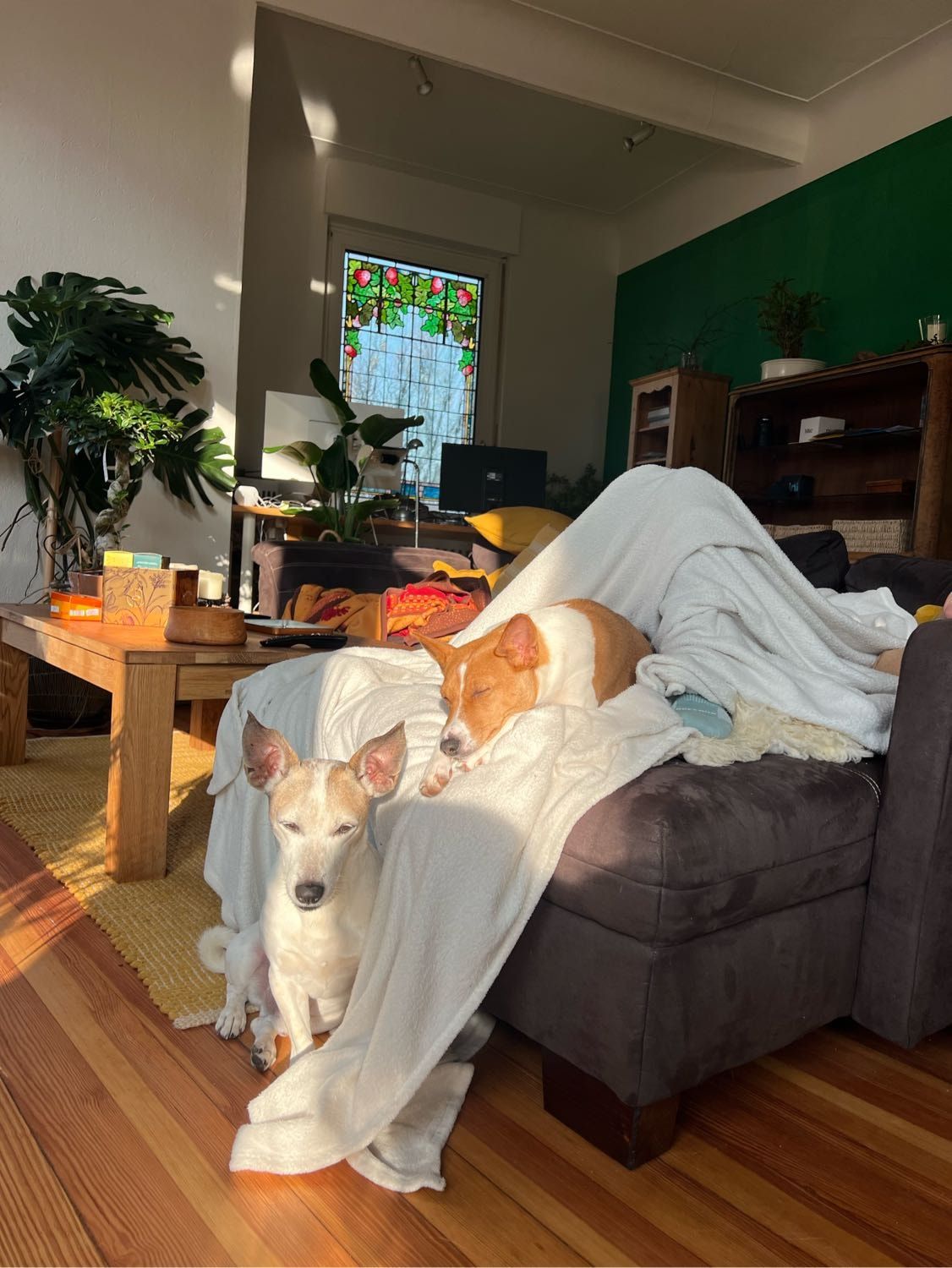 image-18