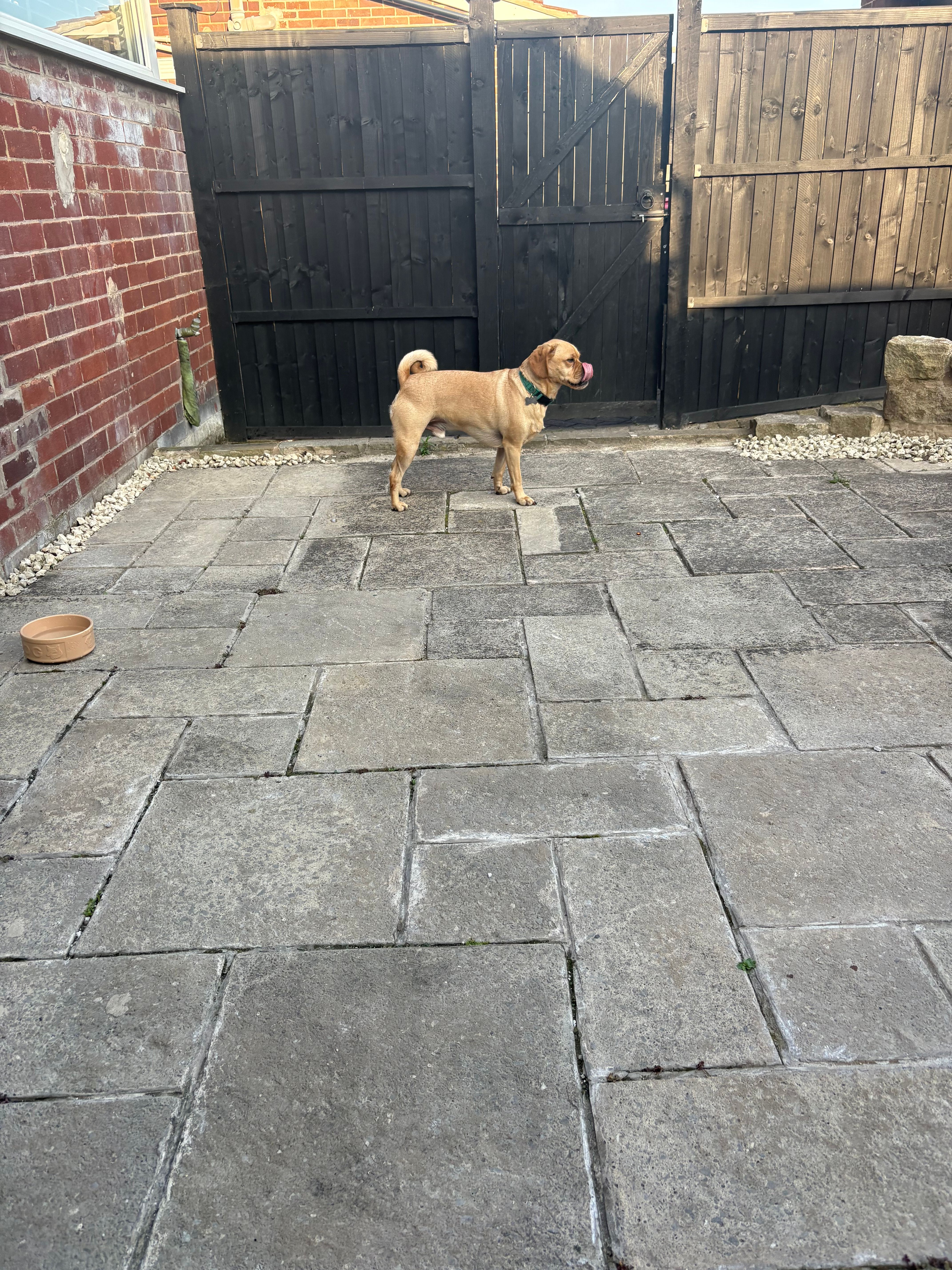 image-29