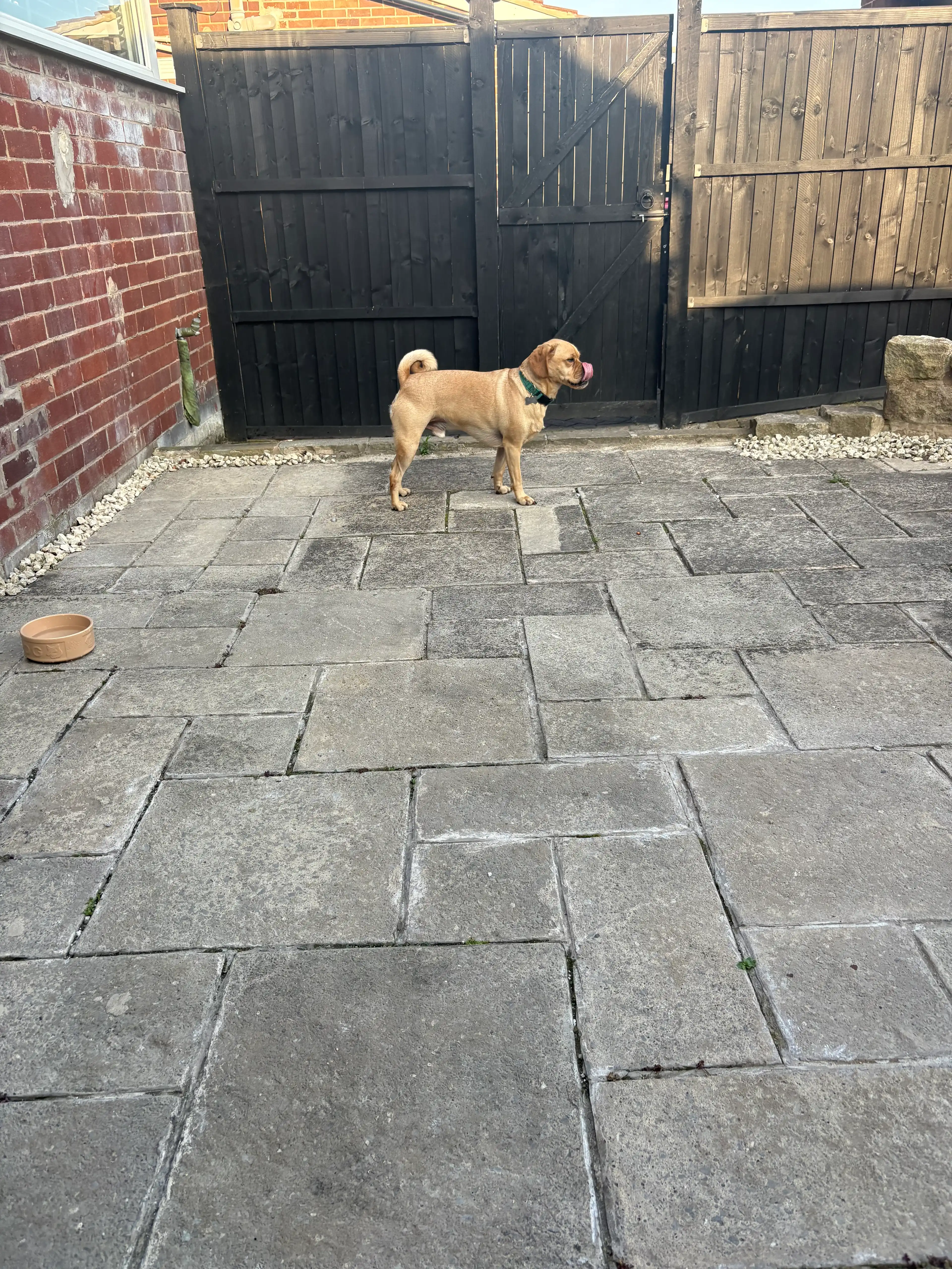 image-29