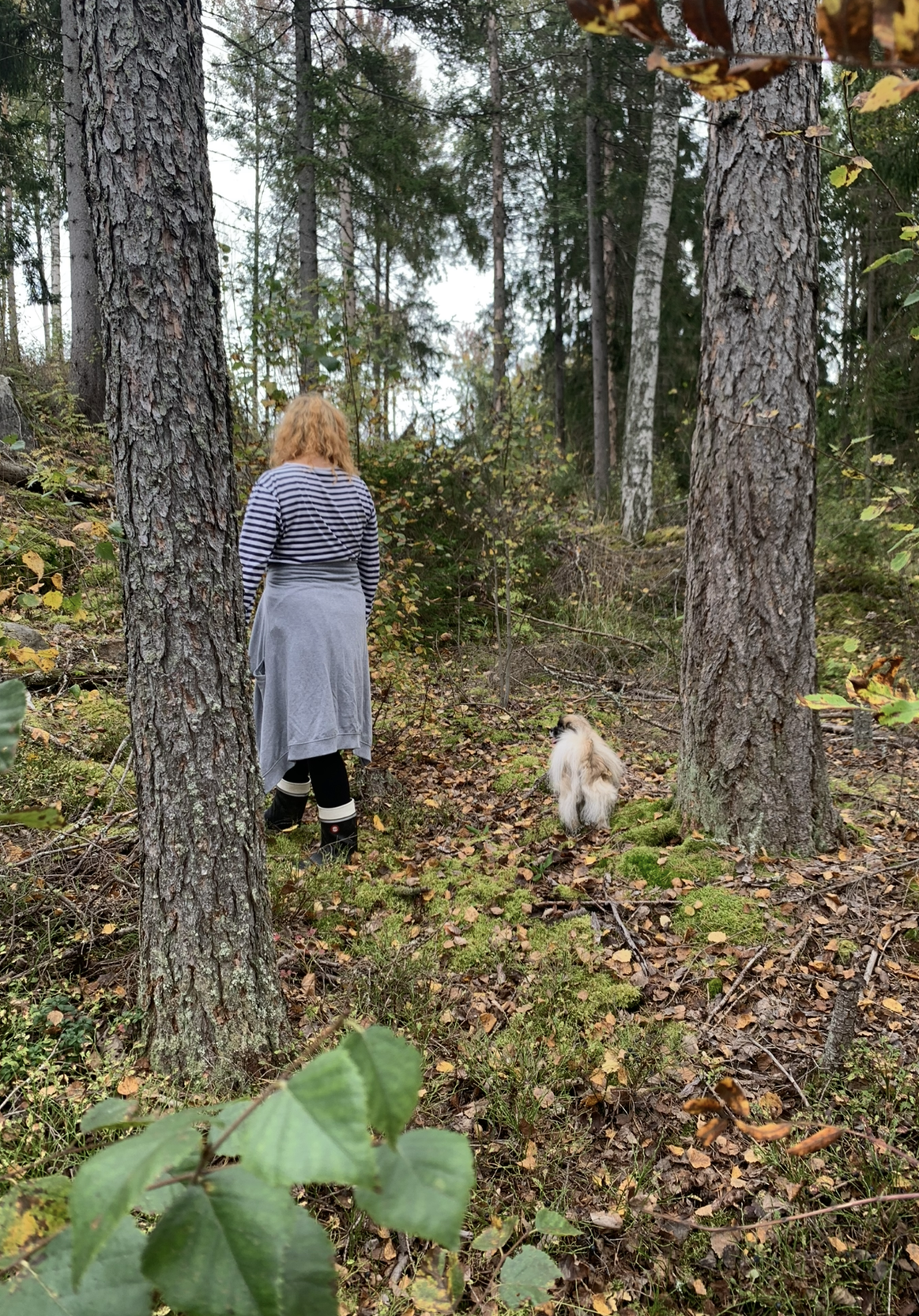 image-11