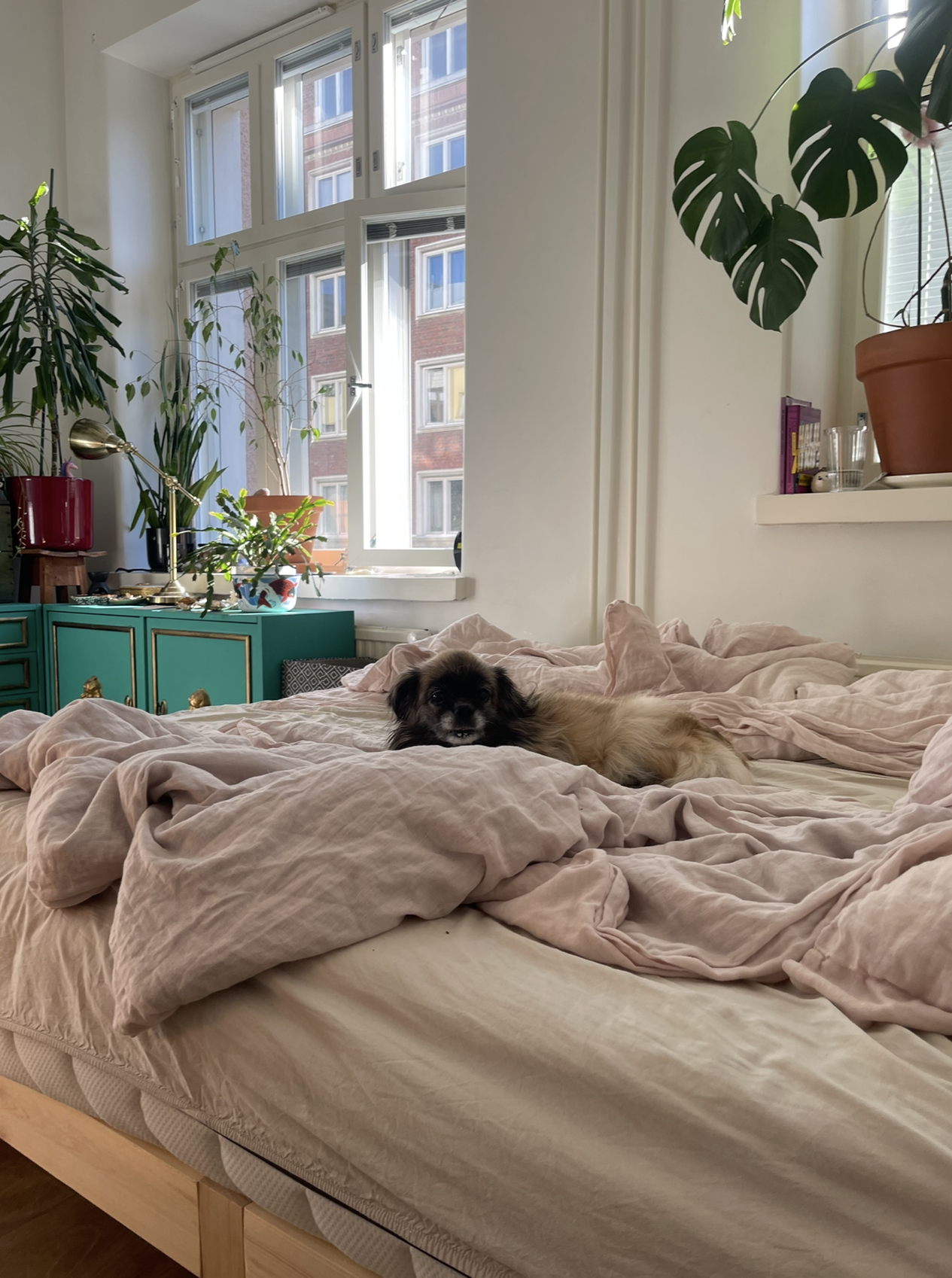 image-13