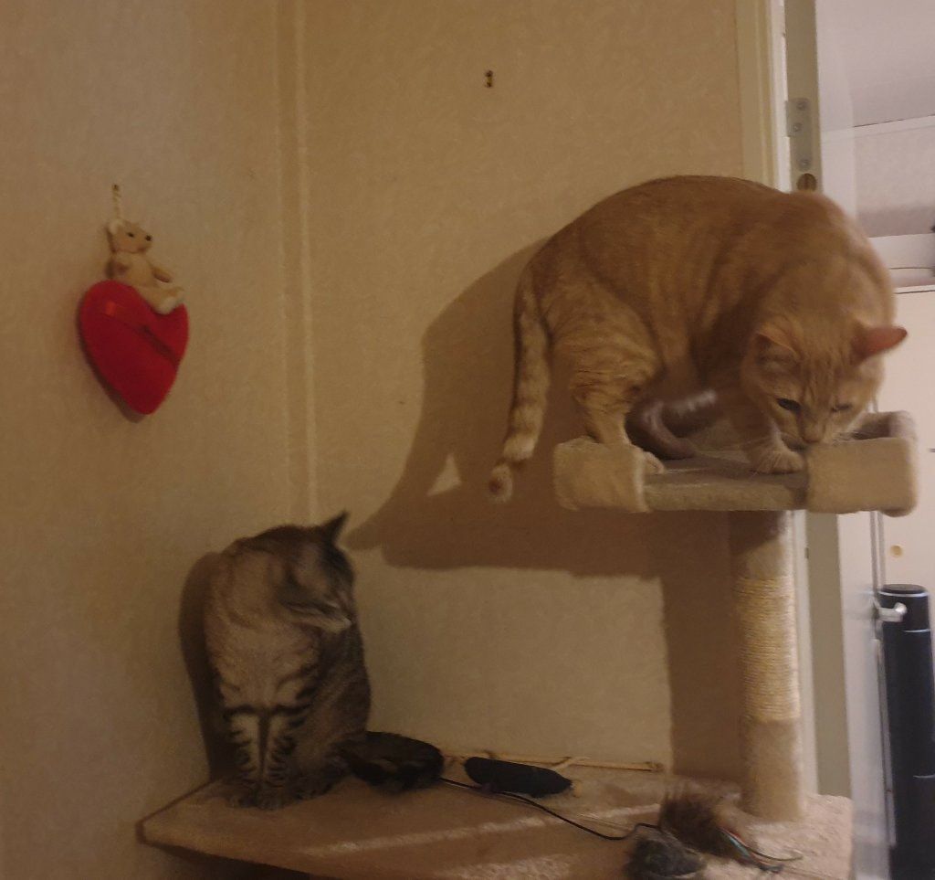 image-41