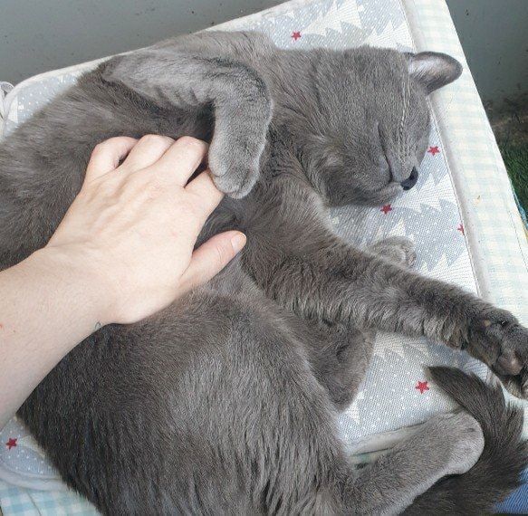 image-54