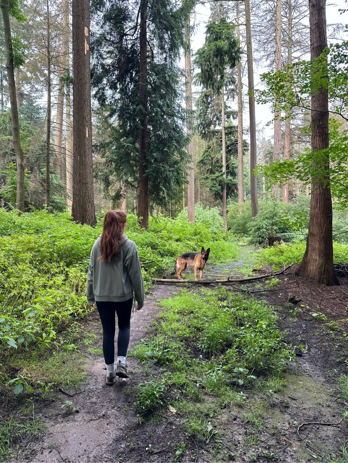 image-5