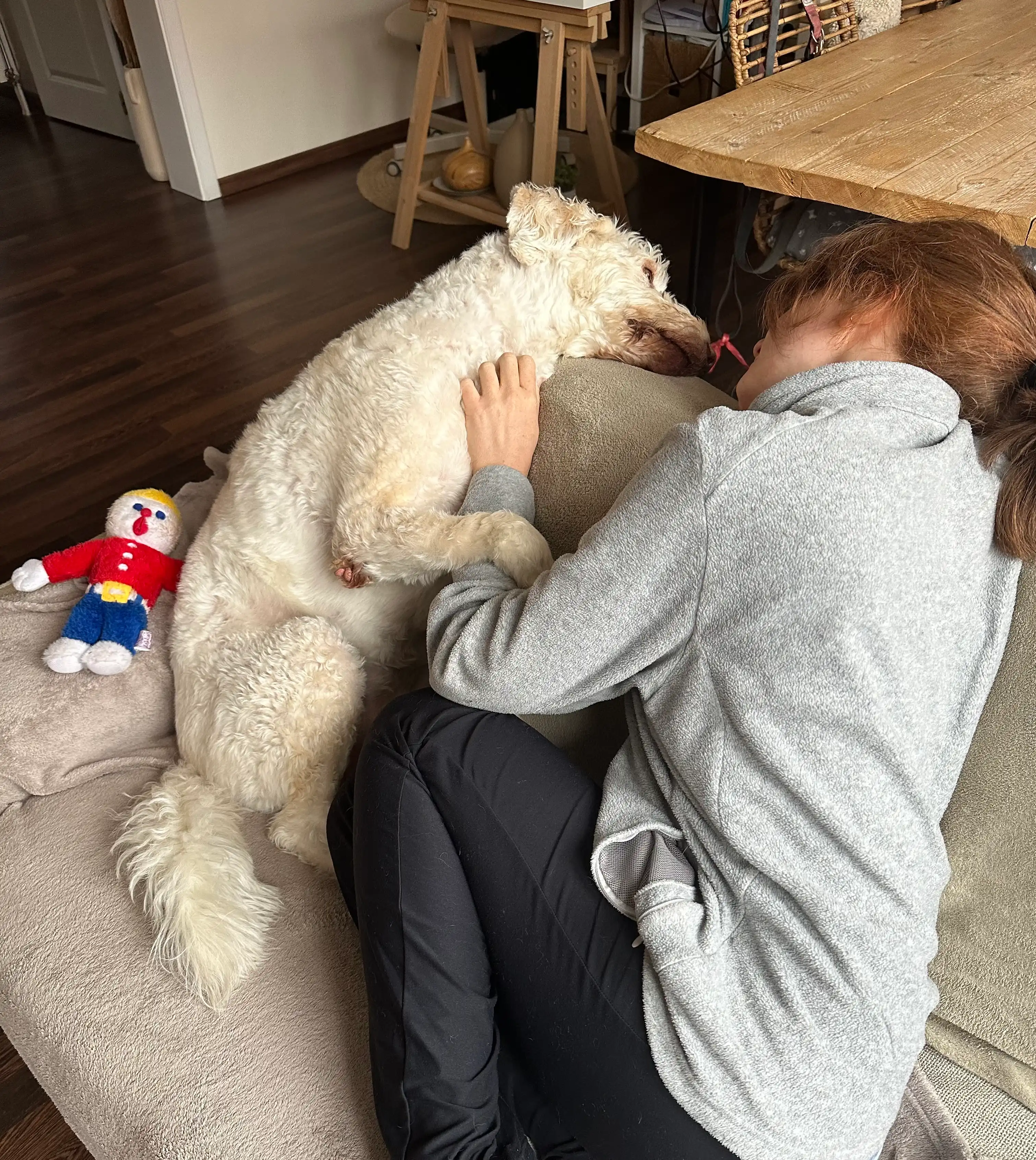 image-20