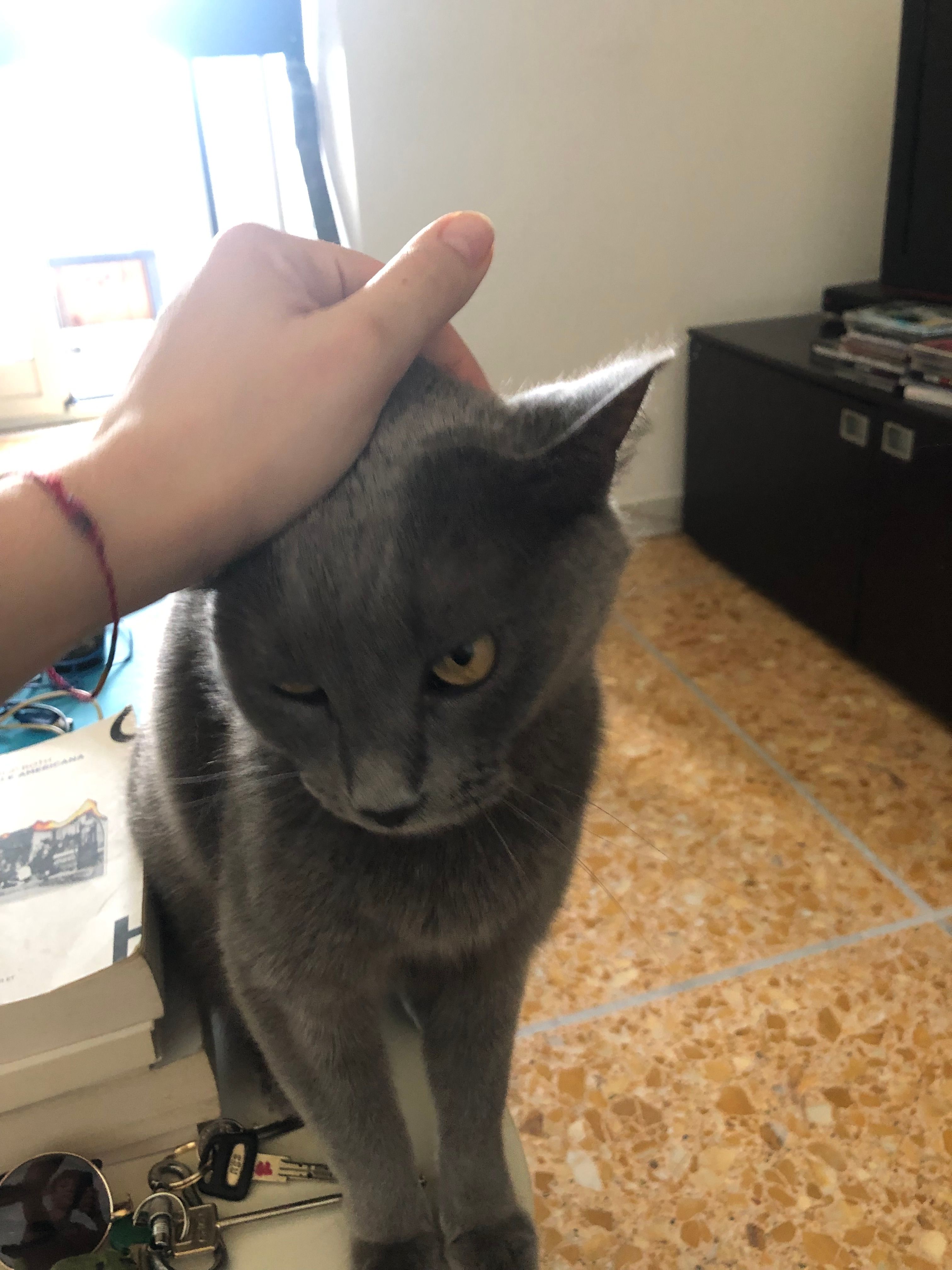 image-11