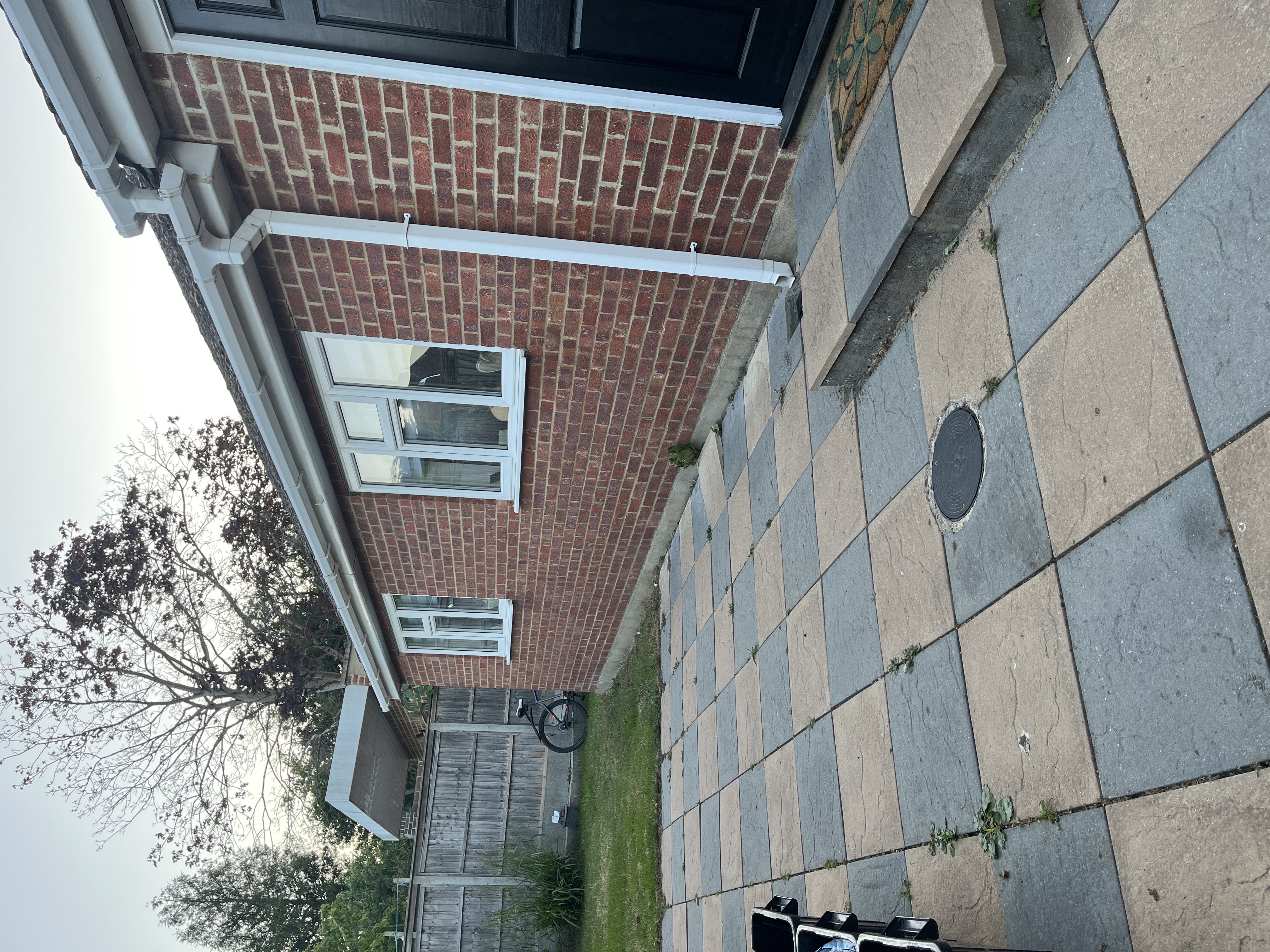 image-11