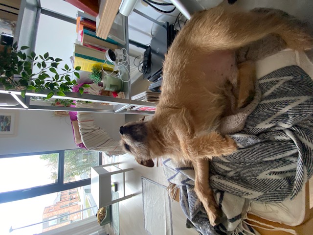 image-5