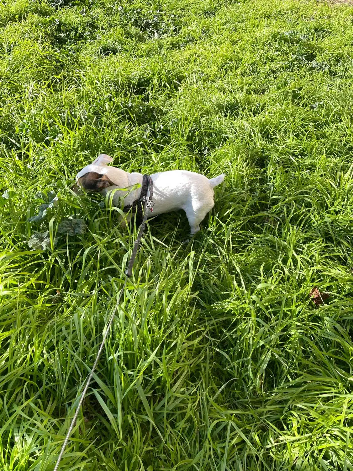 image-8