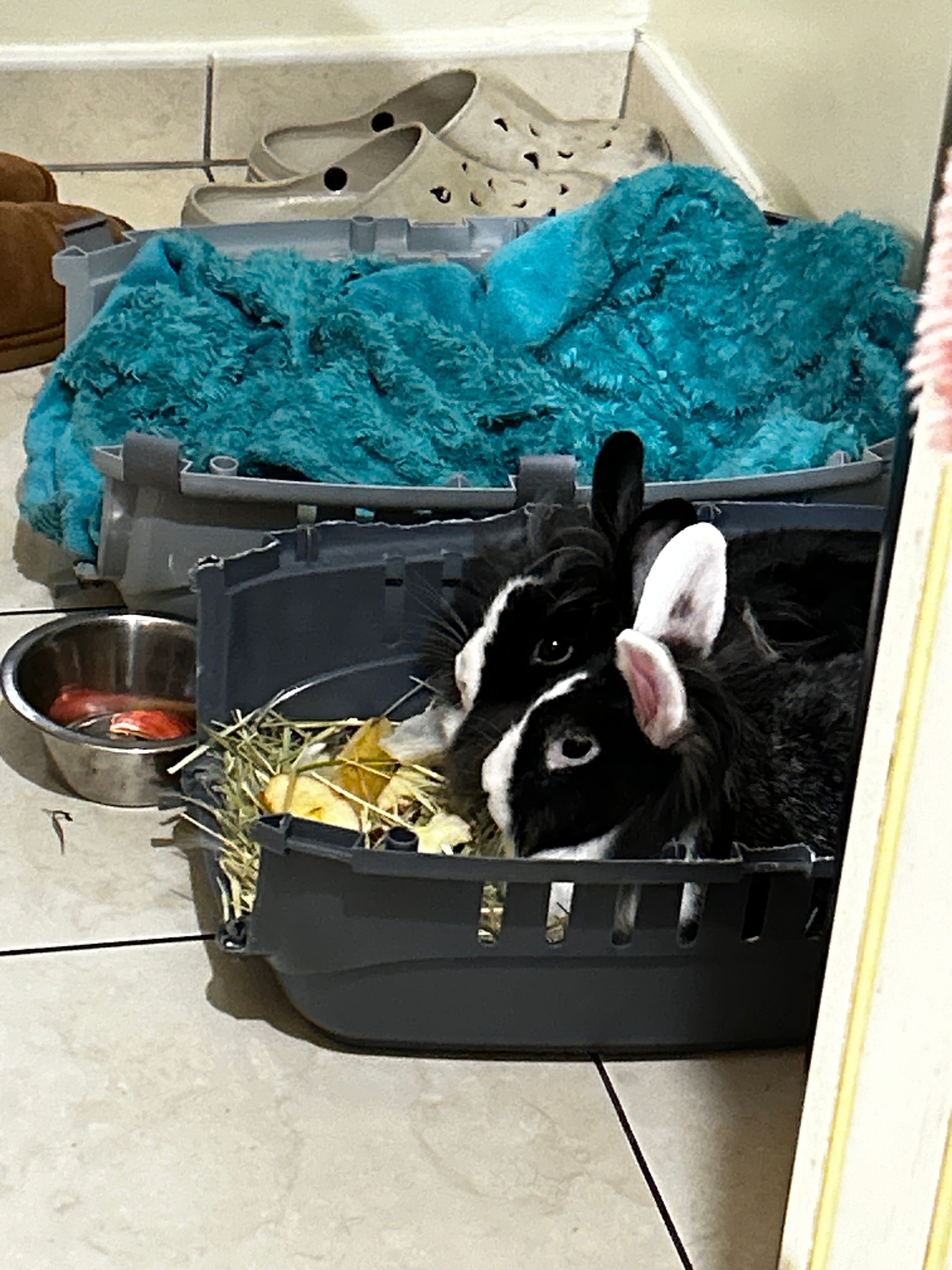 image-16