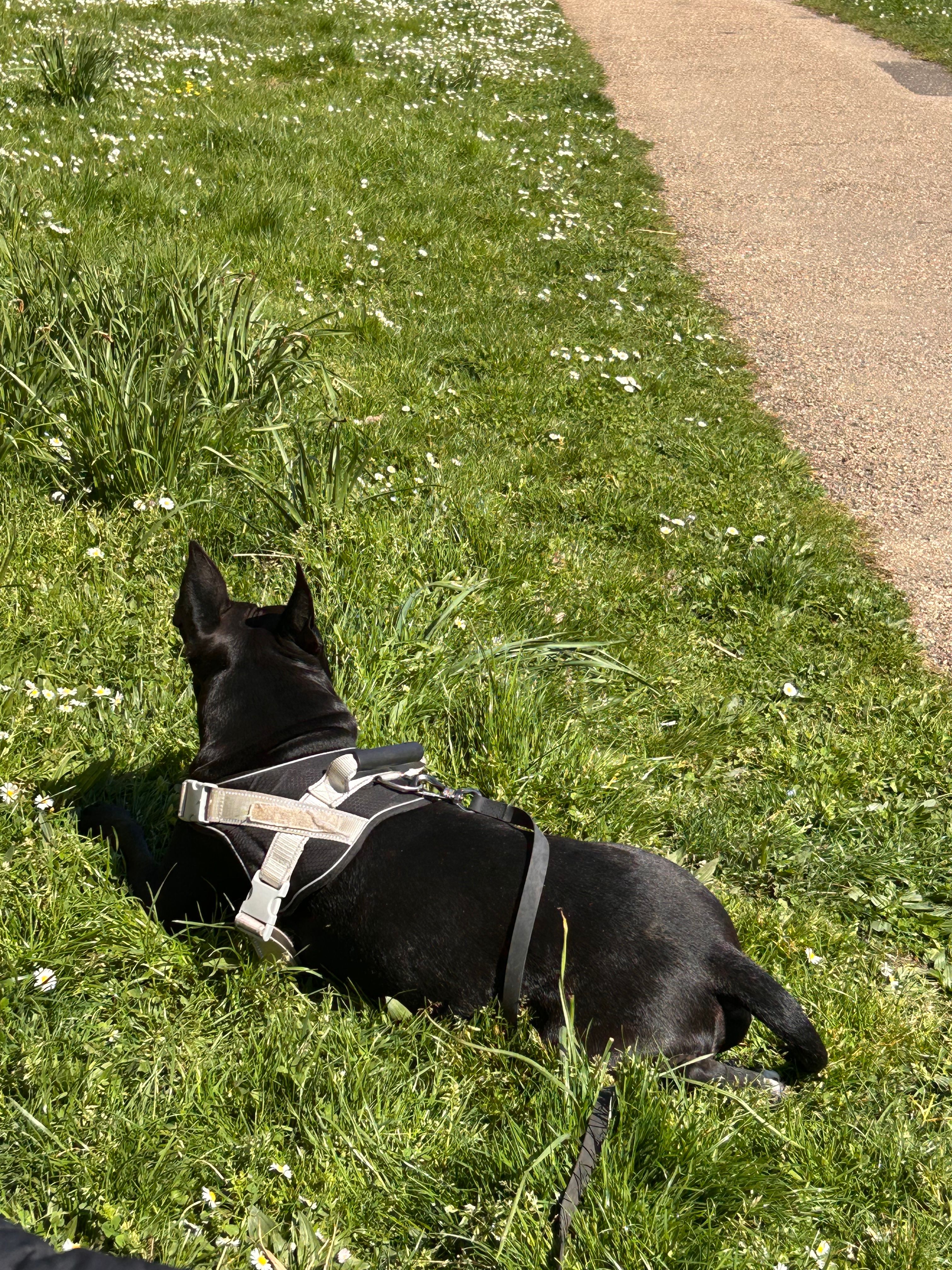 image-17