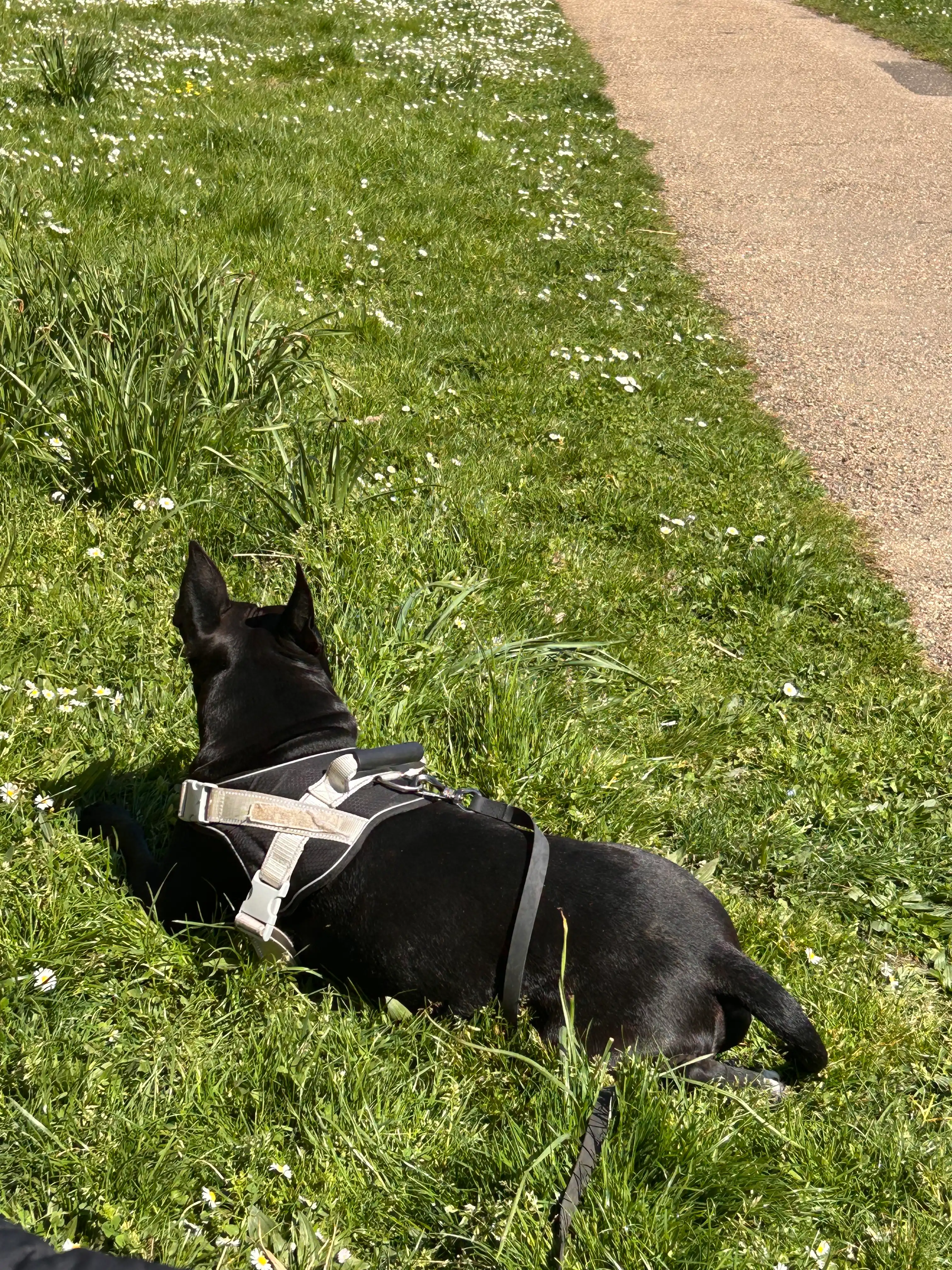 image-17