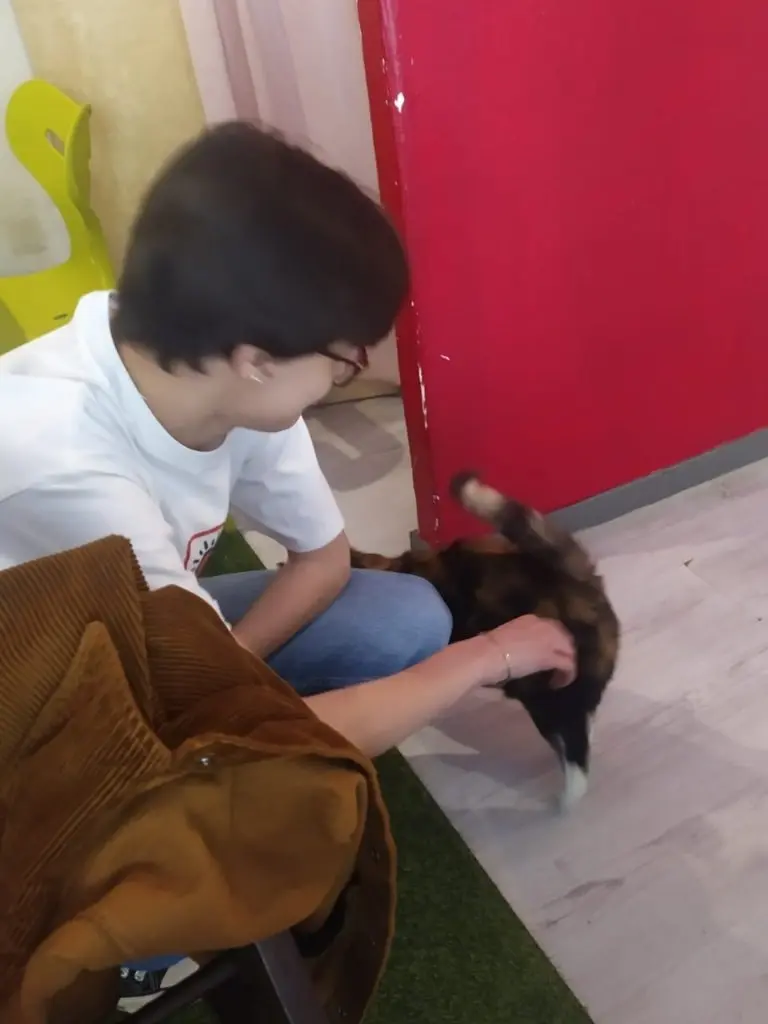 image-3