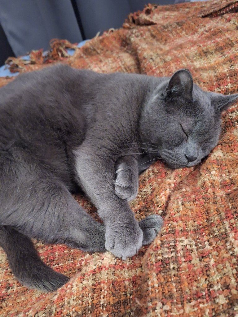 image-6