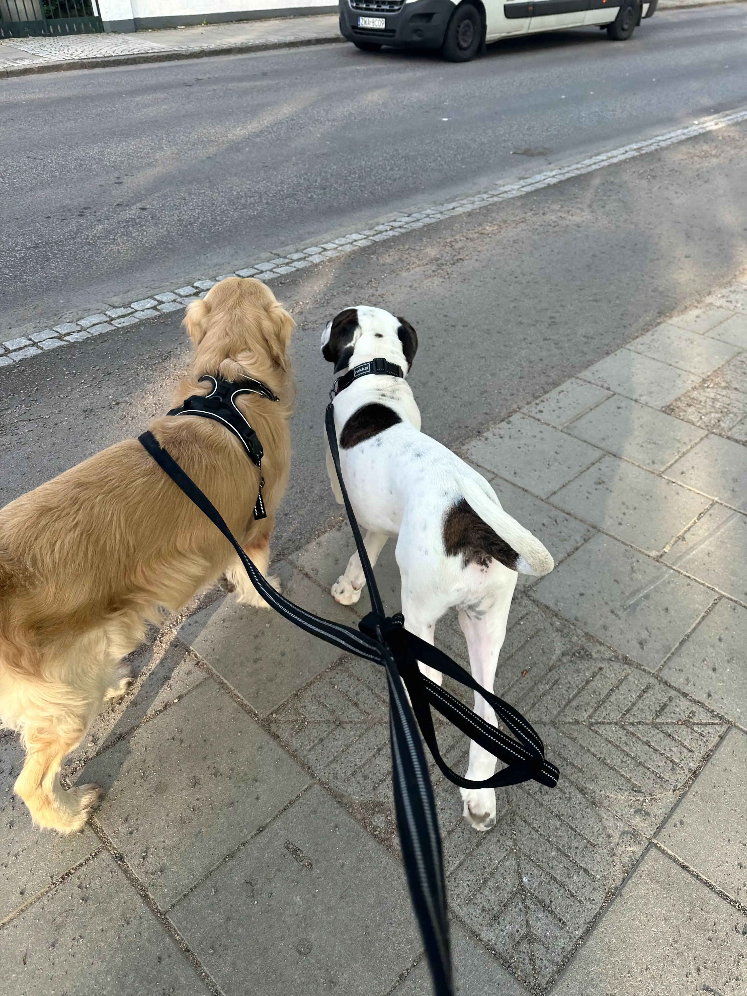 image-38