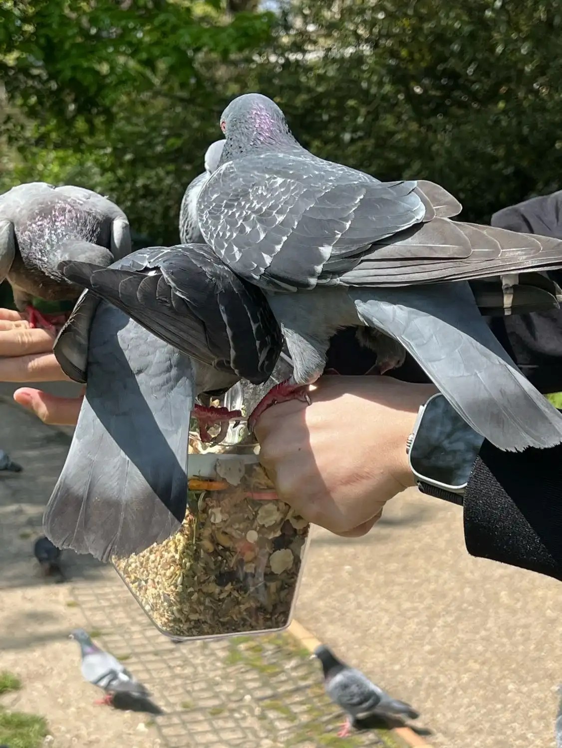 image-6