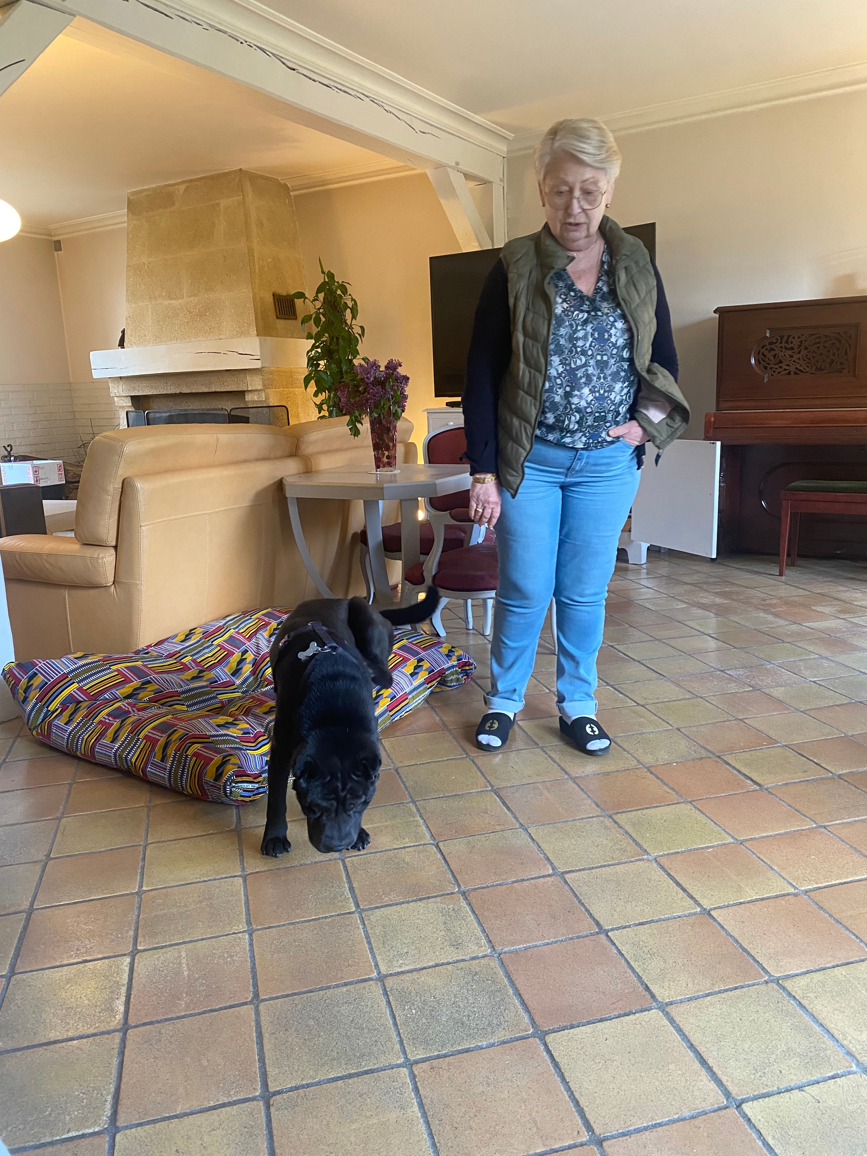 image-19