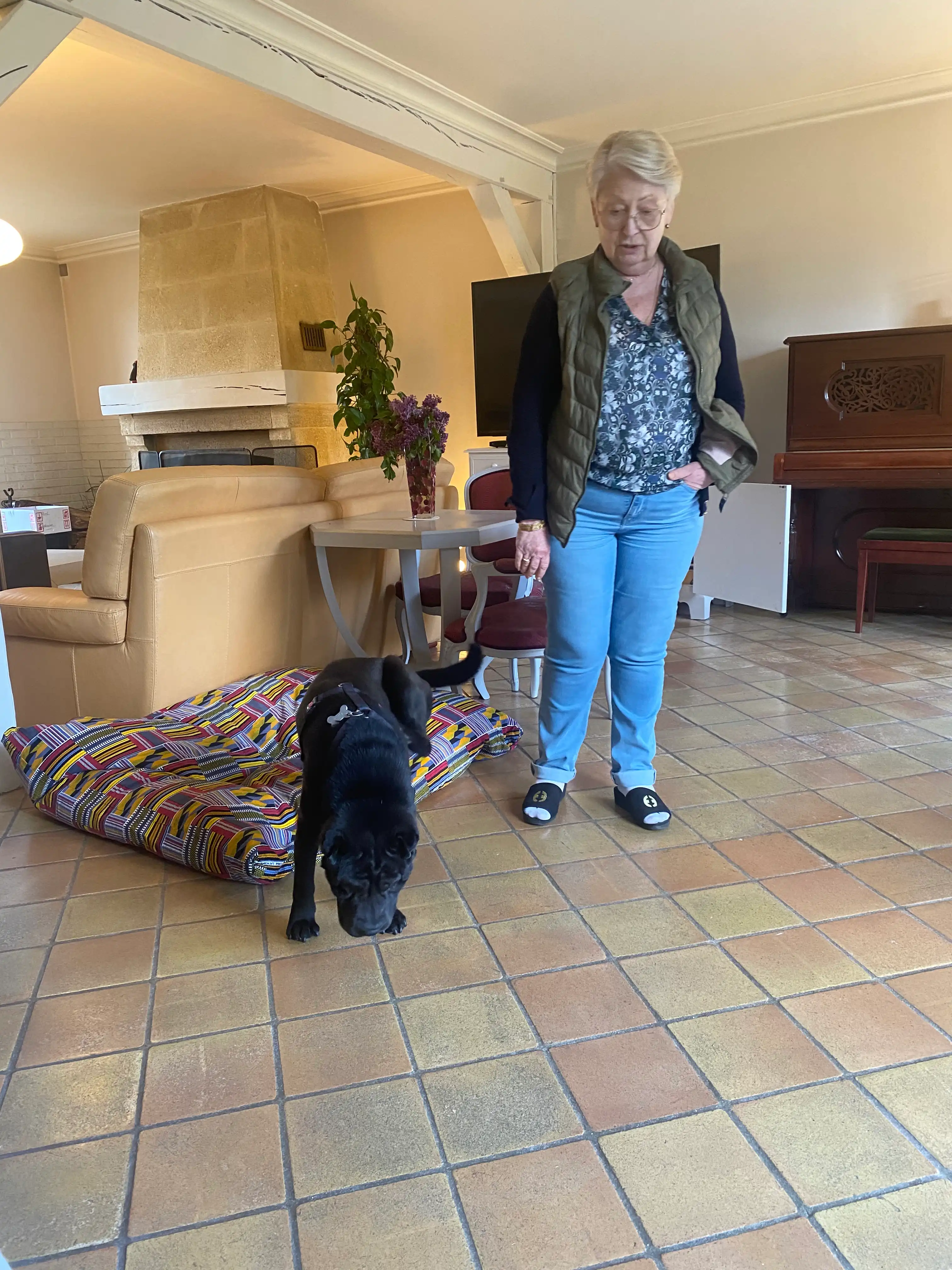 image-19