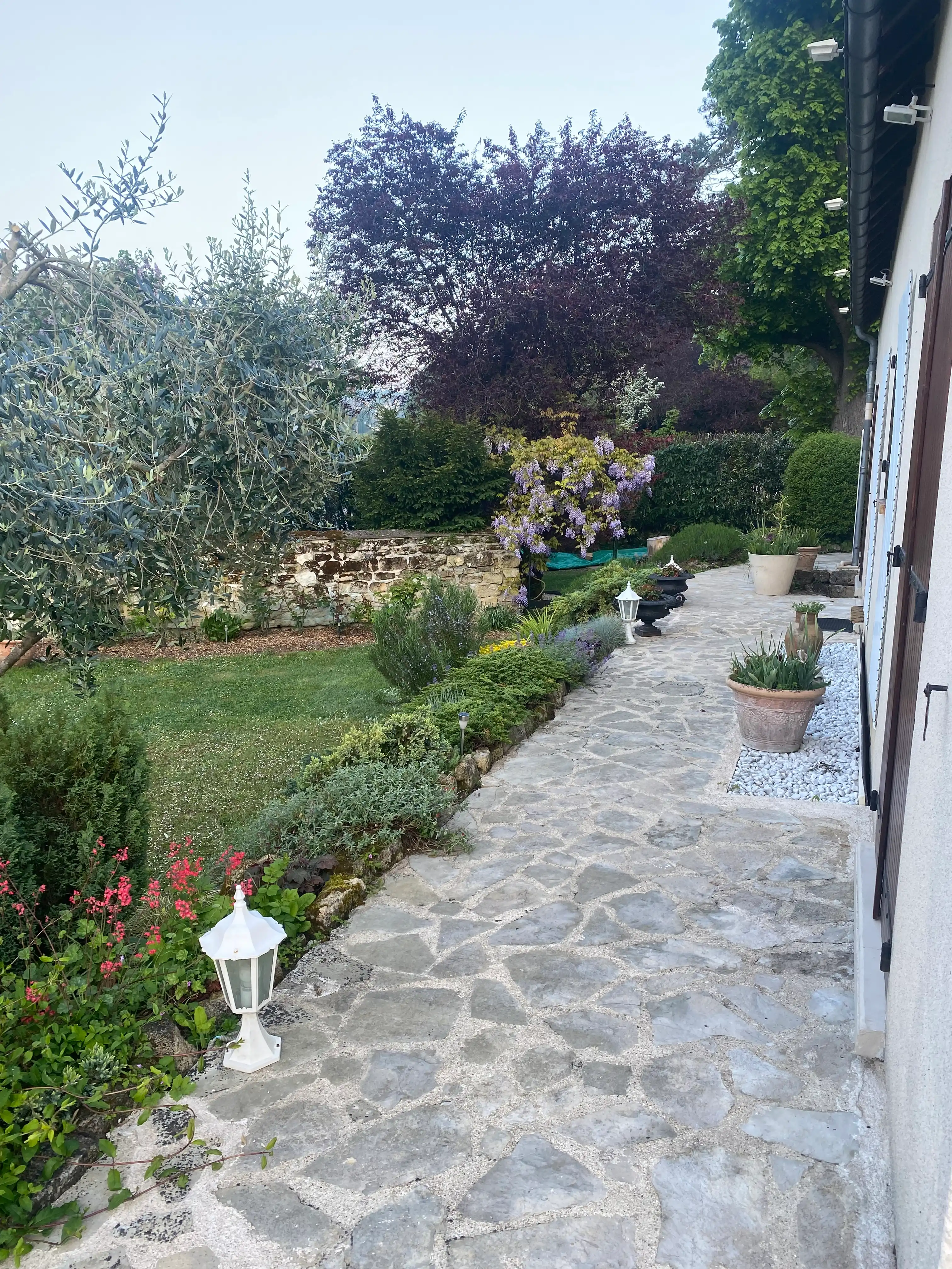 image-21
