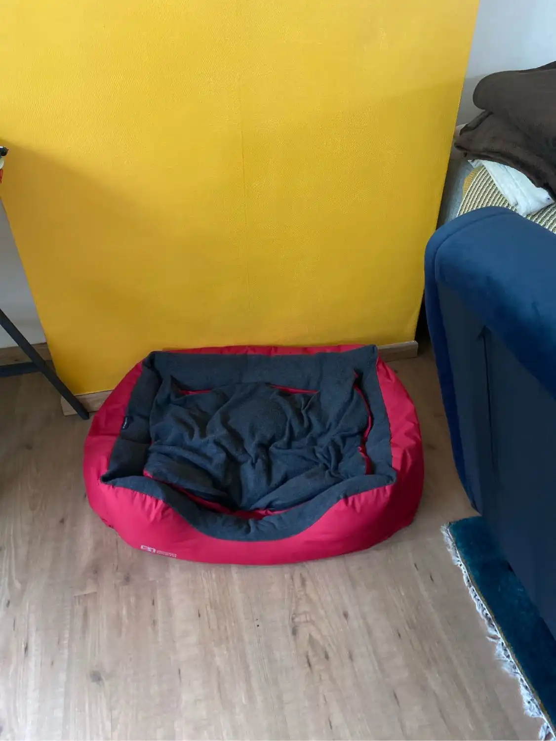 image-7
