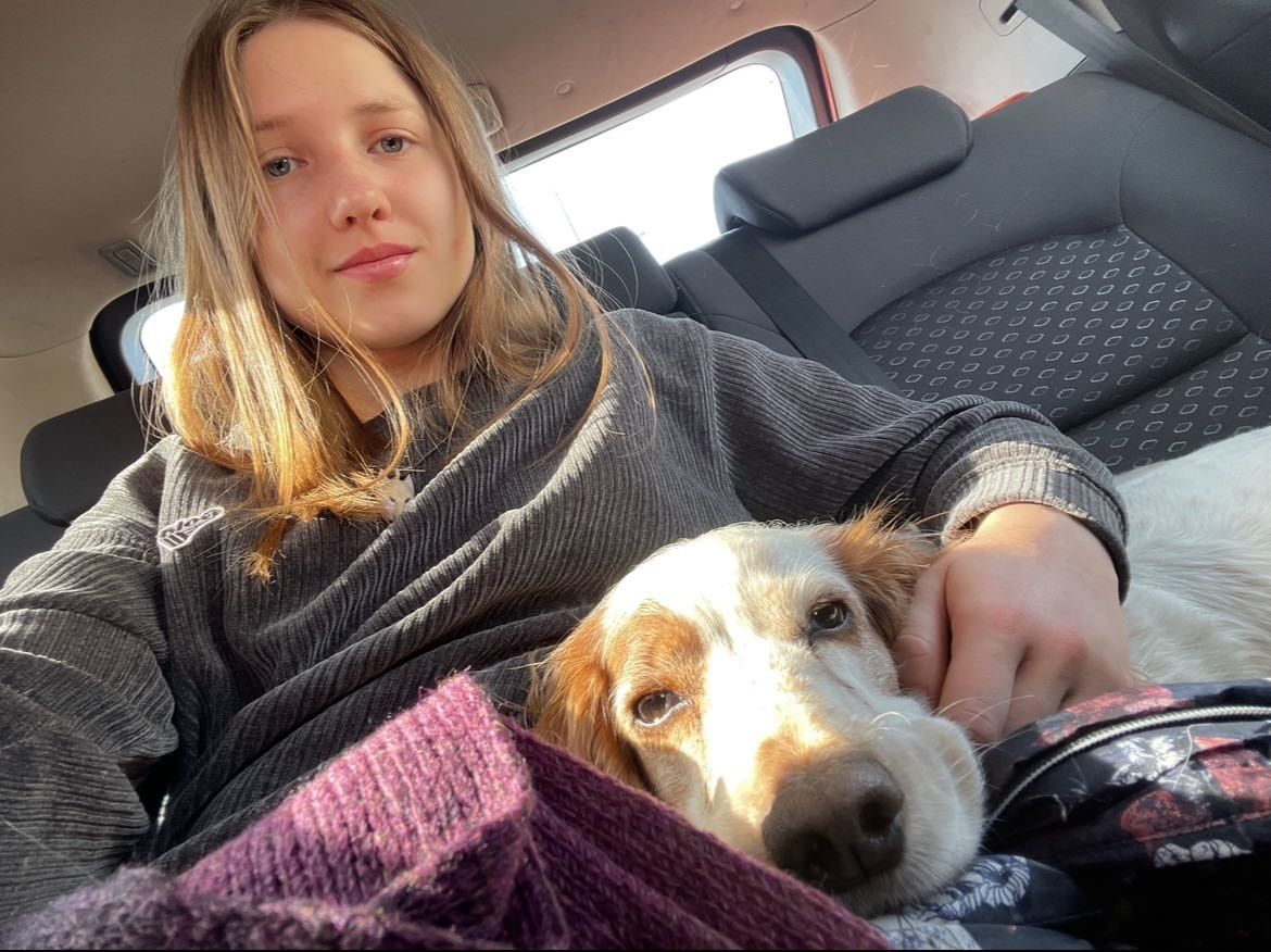 image-6