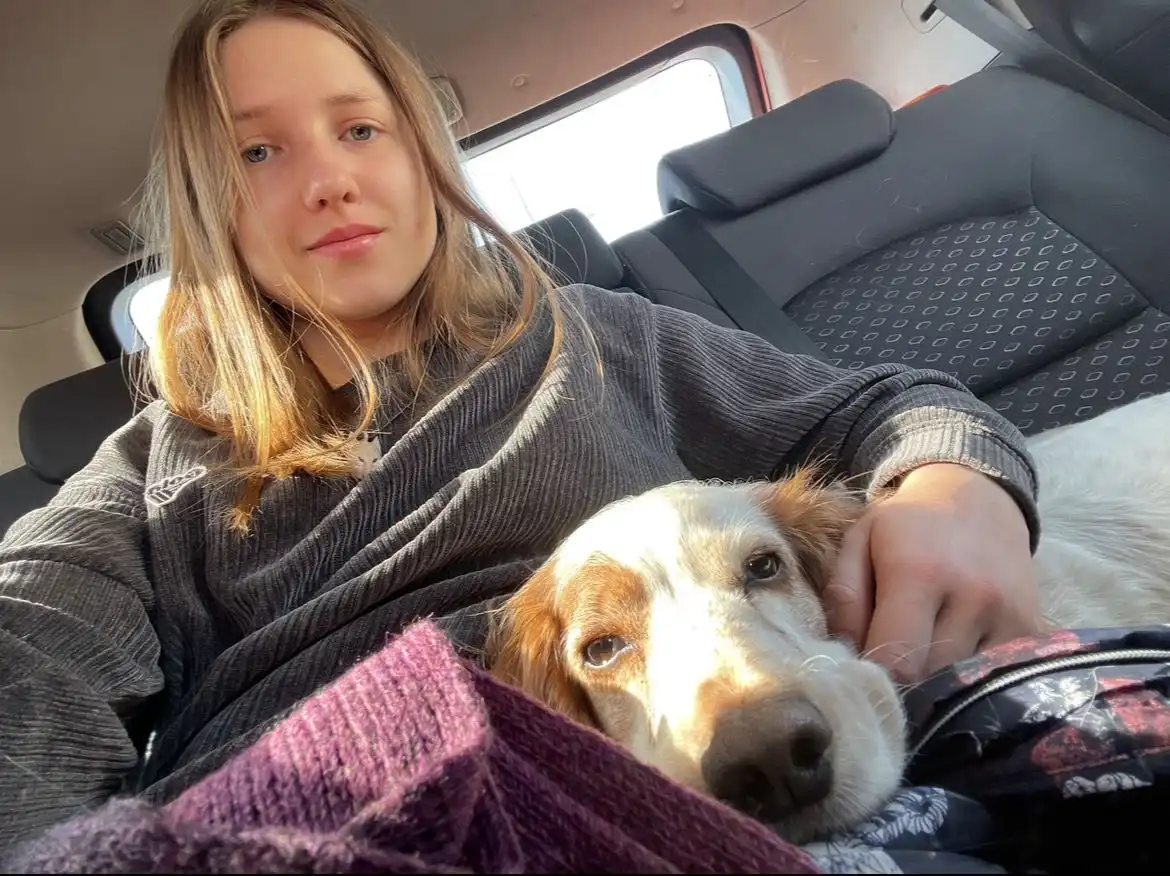 image-6