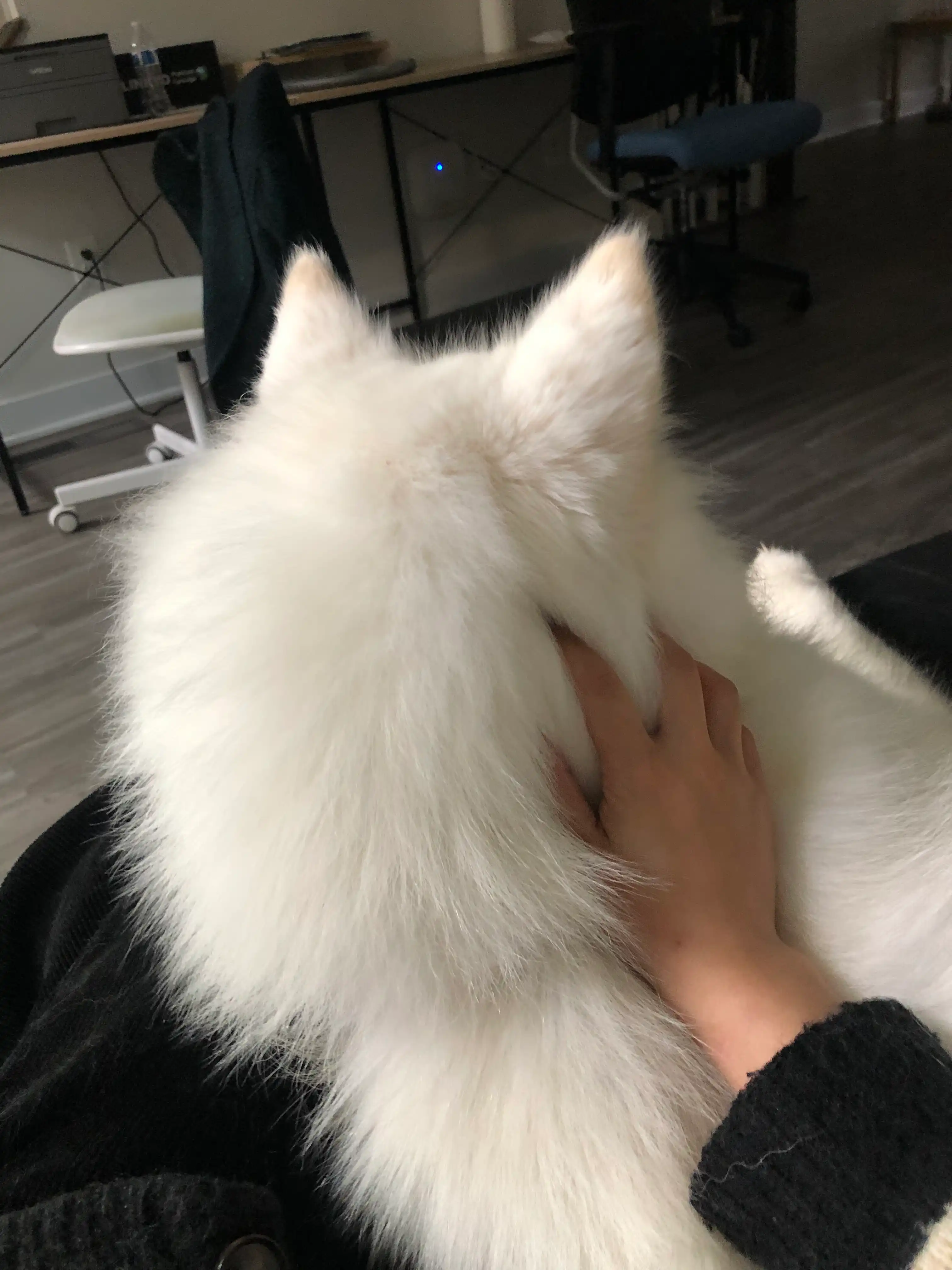 image-10