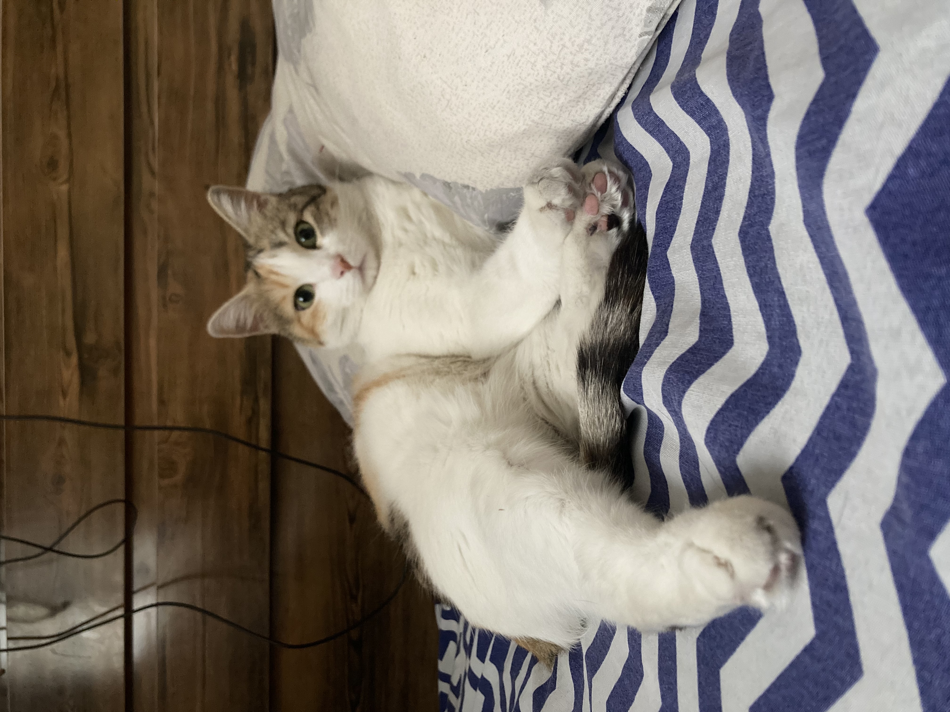 image-6